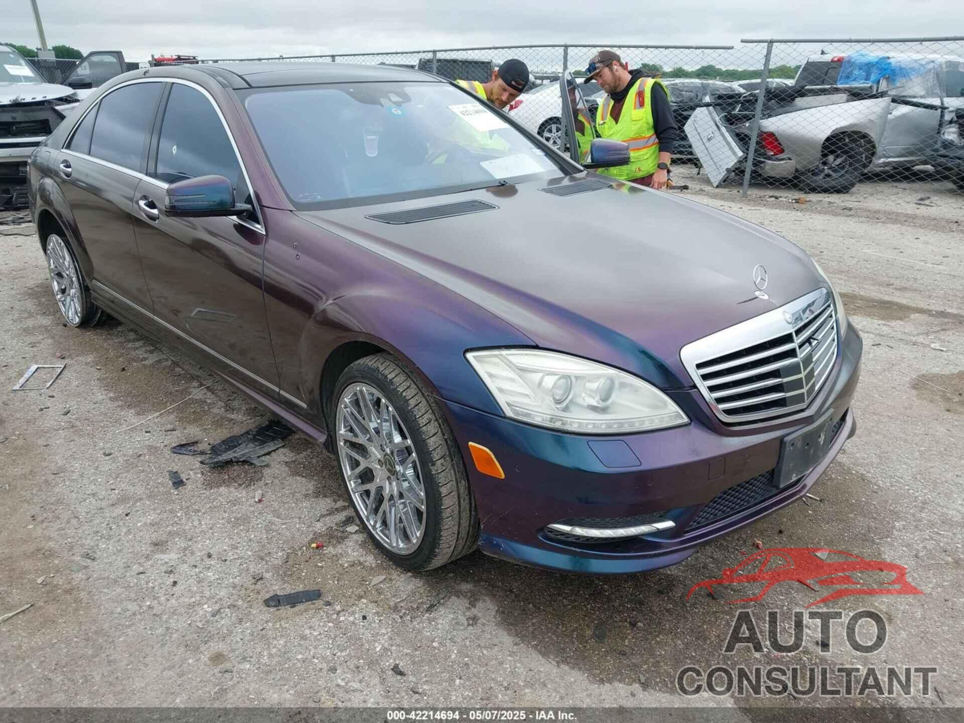 MERCEDES-BENZ S 550 2010 - WDDNG7BB2AA333732