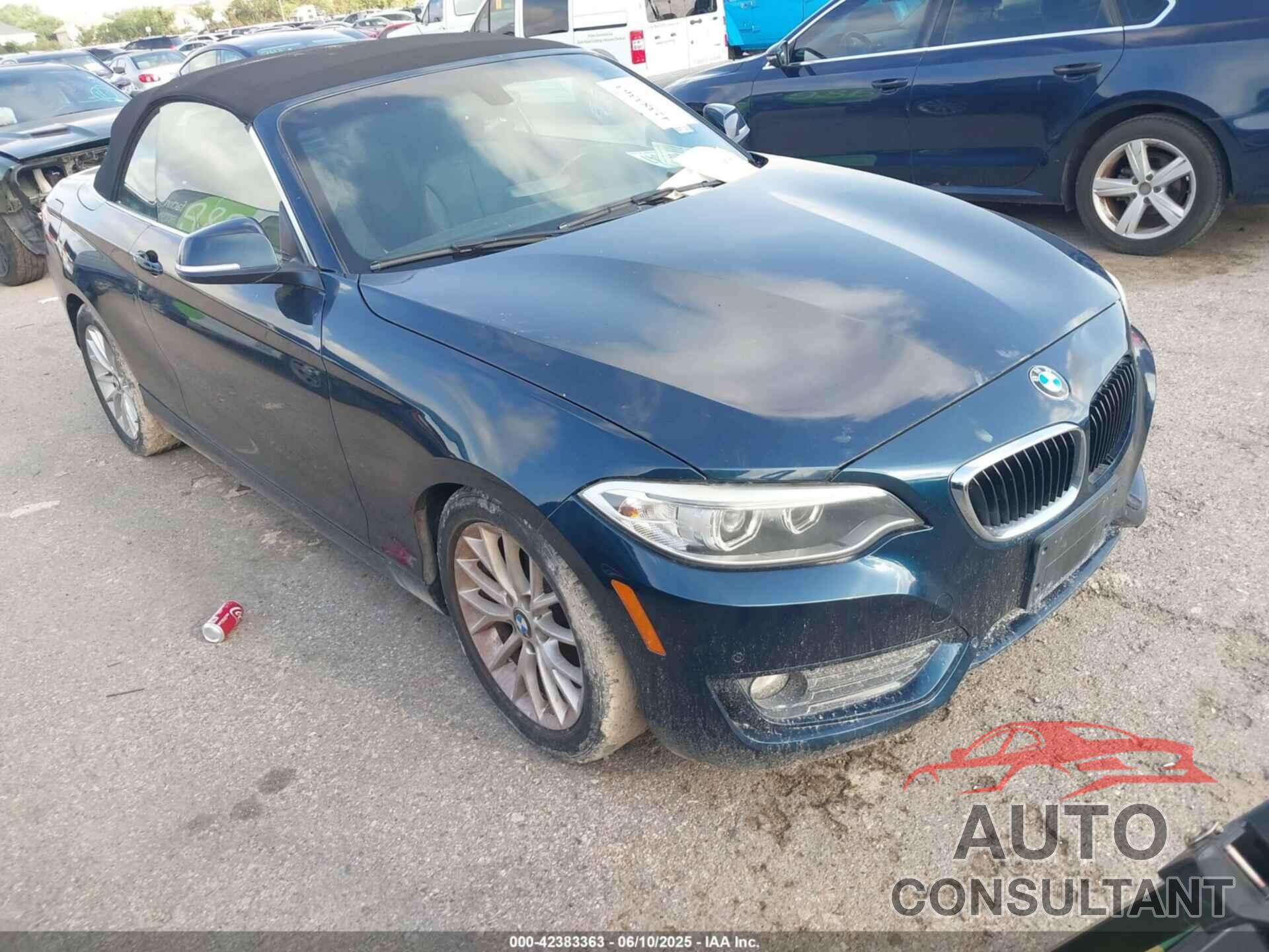 BMW 228I 2015 - WBA1K5C58FV473737