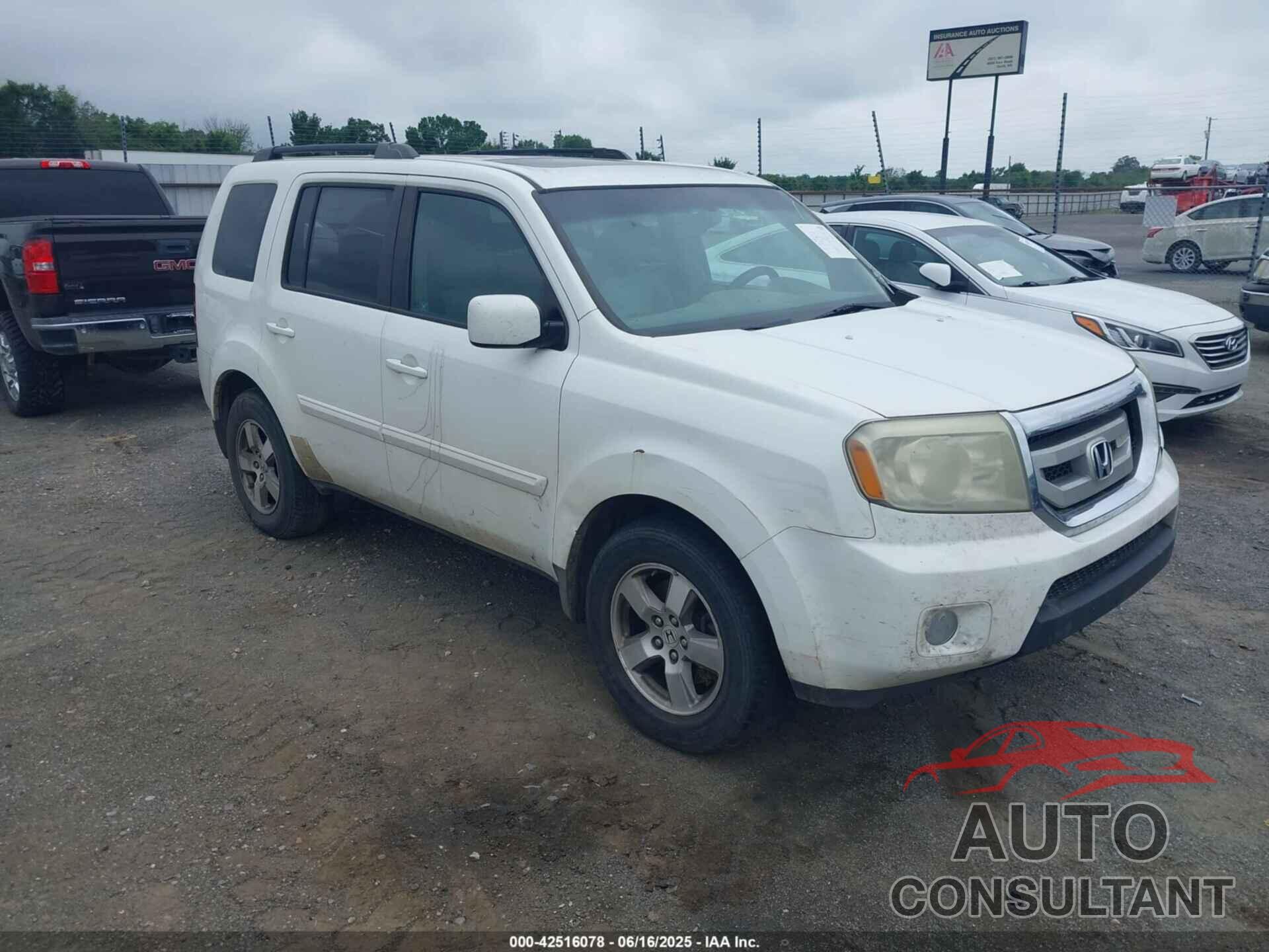 HONDA PILOT 2009 - 5FNYF38509B022341