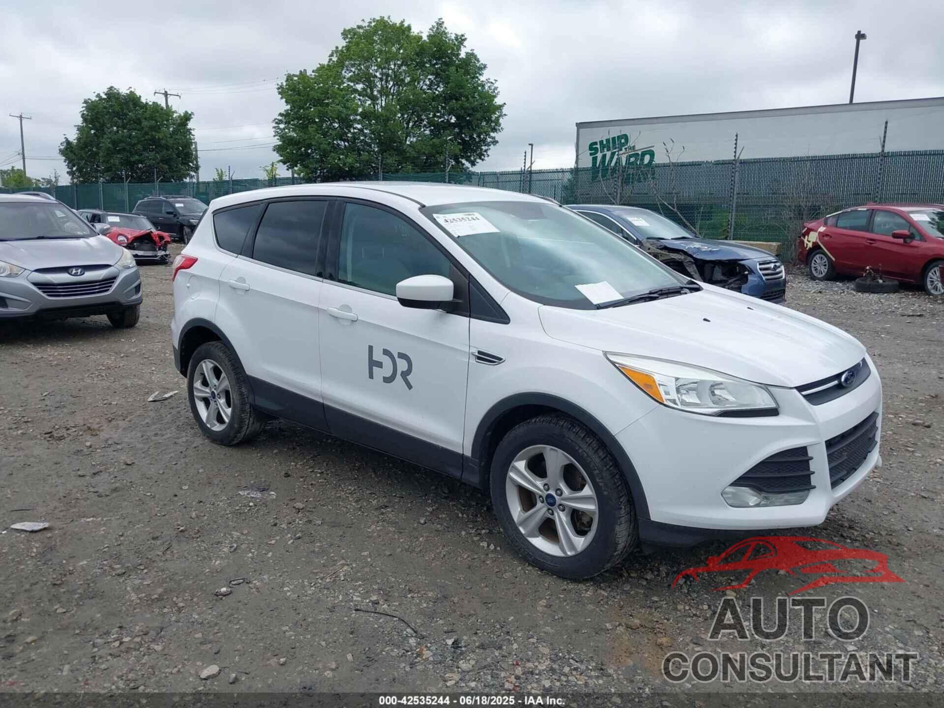 FORD ESCAPE 2014 - 1FMCU9GX9EUC61521