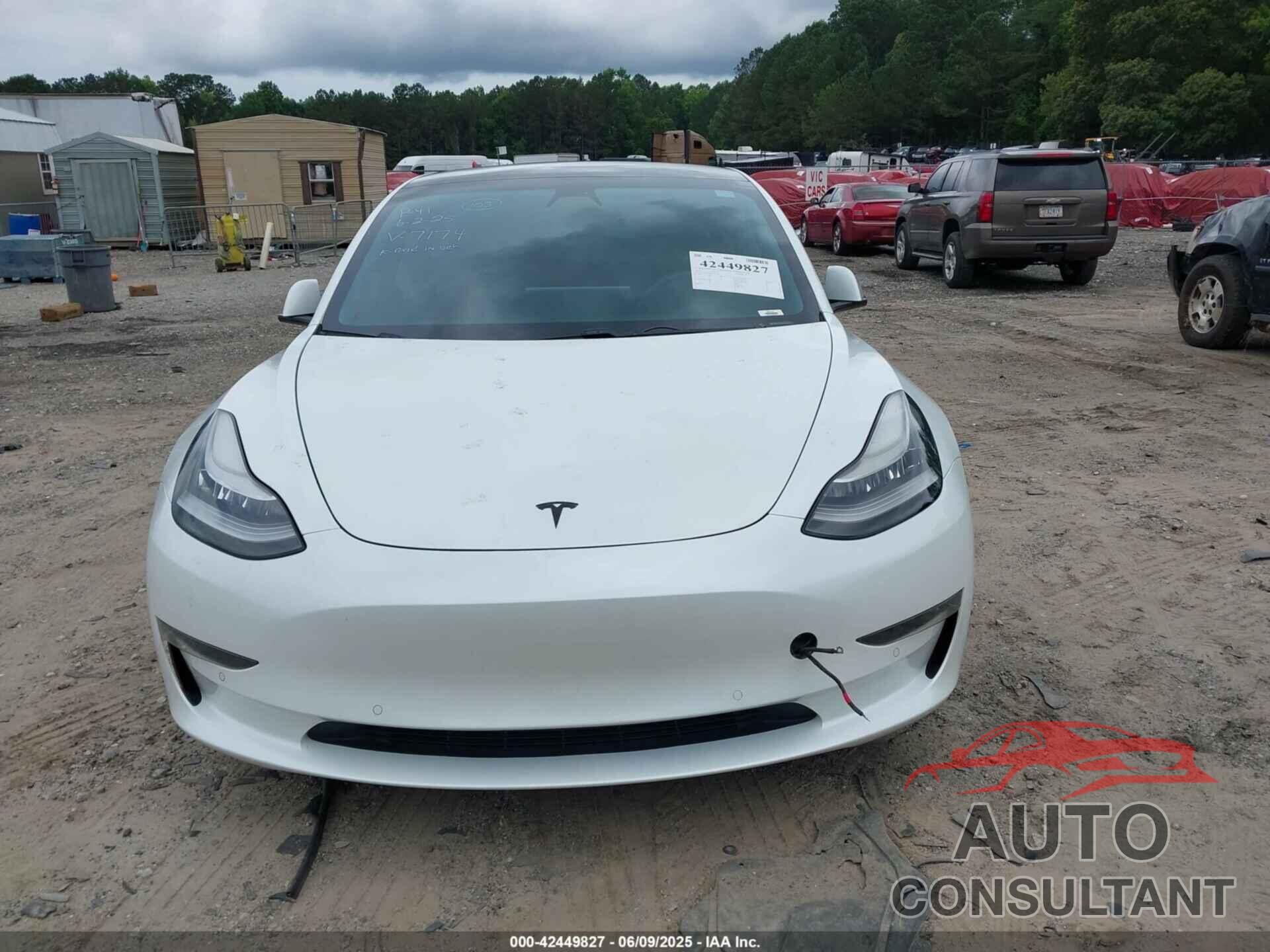 TESLA MODEL 3 2019 - 5YJ3E1EB6KF487174