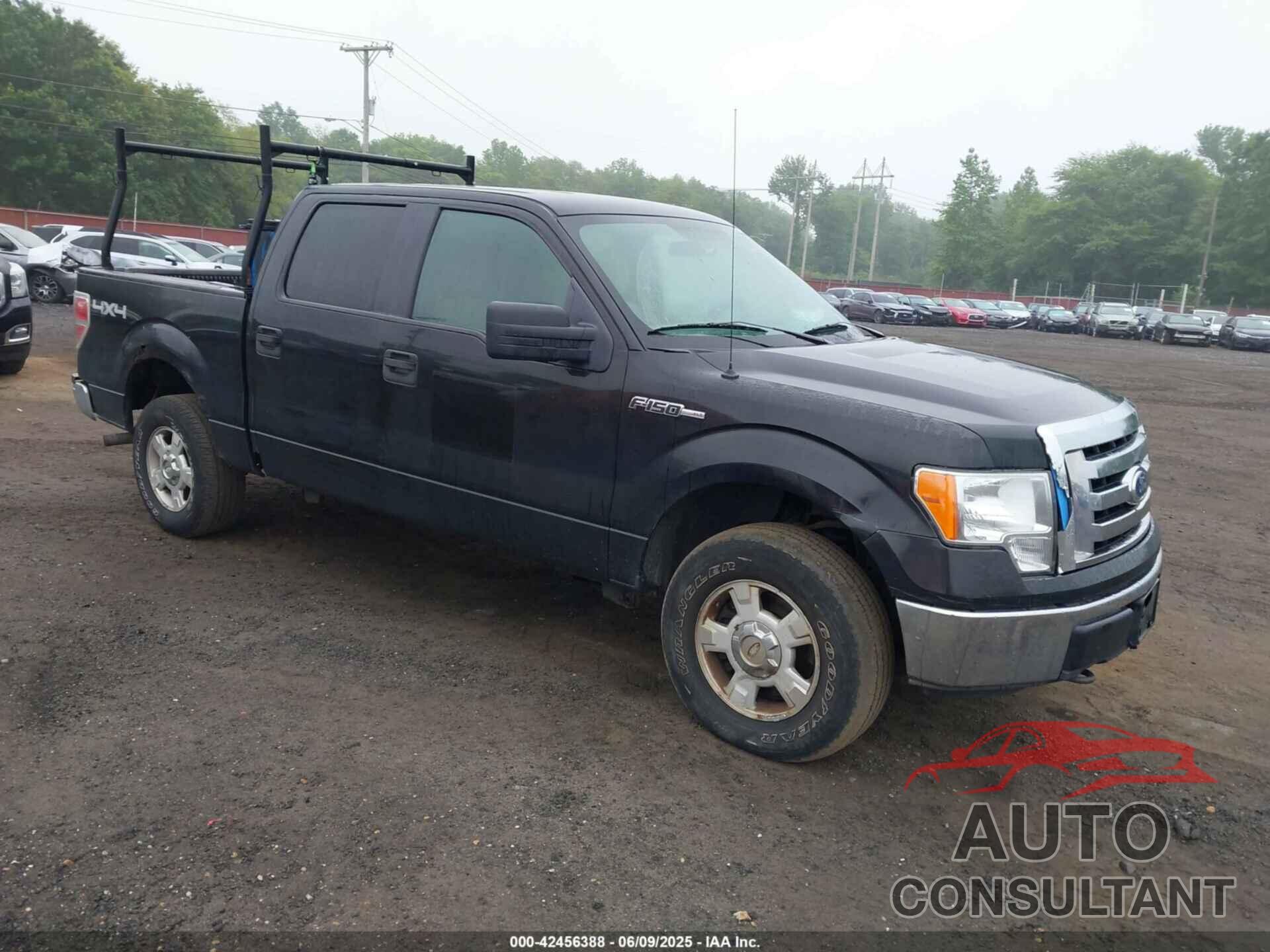 FORD F-150 2010 - 1FTEW1E84AFA54957