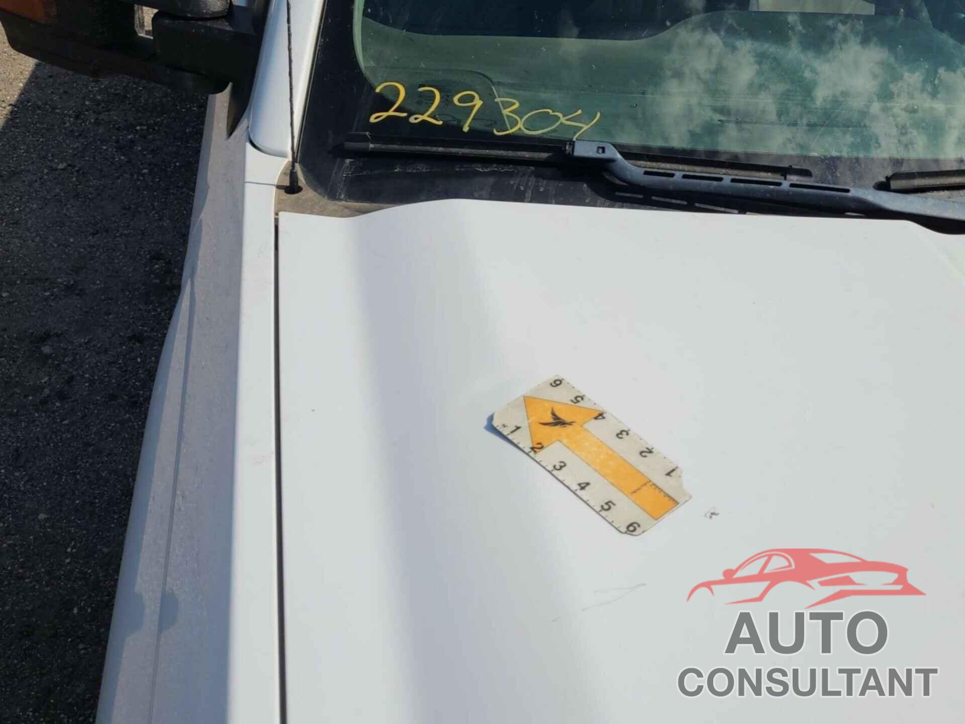 CHEVROLET SILVERADO 2019 - 2GC2KREG4K1118203