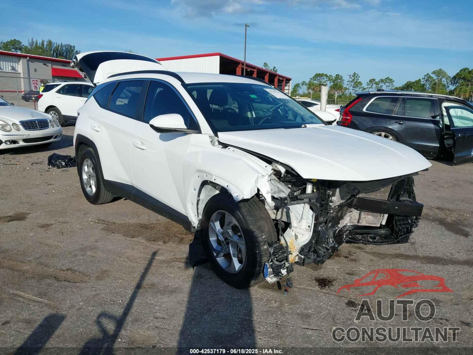 HYUNDAI TUCSON 2024 - 5NMJB3DE8RH366436