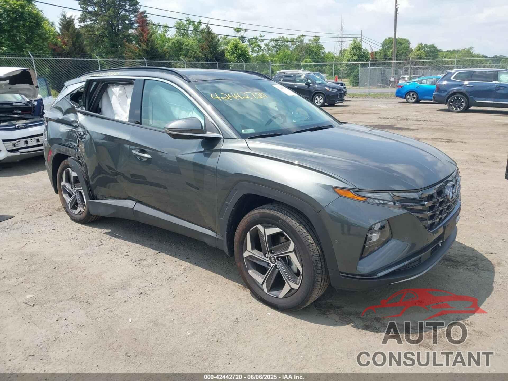 HYUNDAI TUCSON HYBRID 2024 - KM8JECD10RU165848