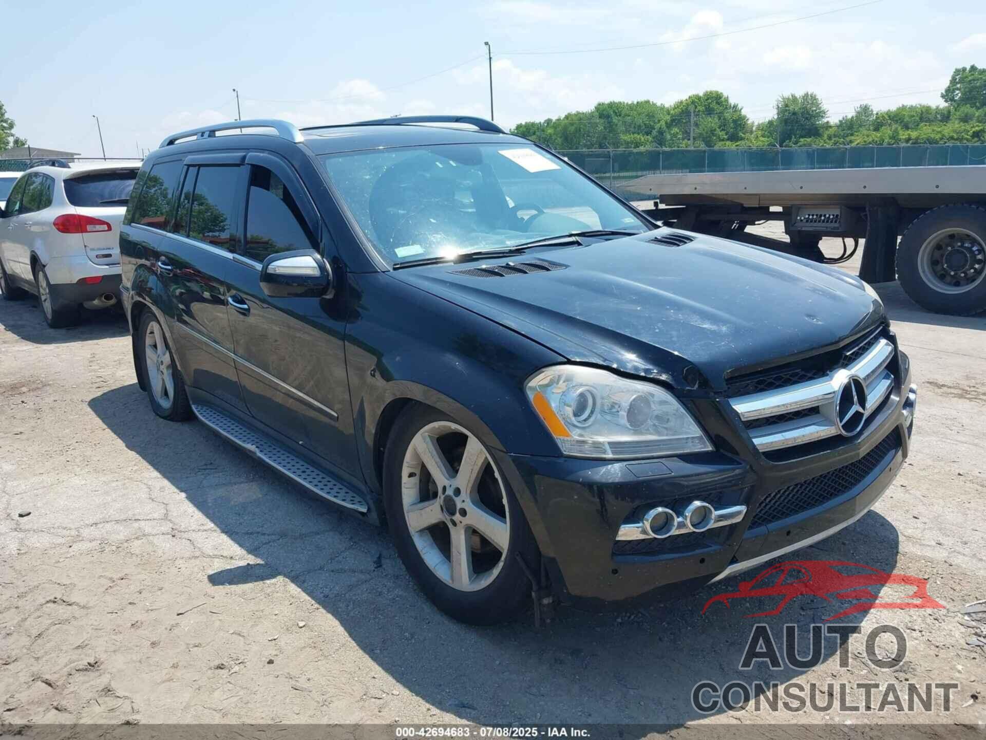 MERCEDES-BENZ GL 450 2009 - 4JGBF71E29A446504