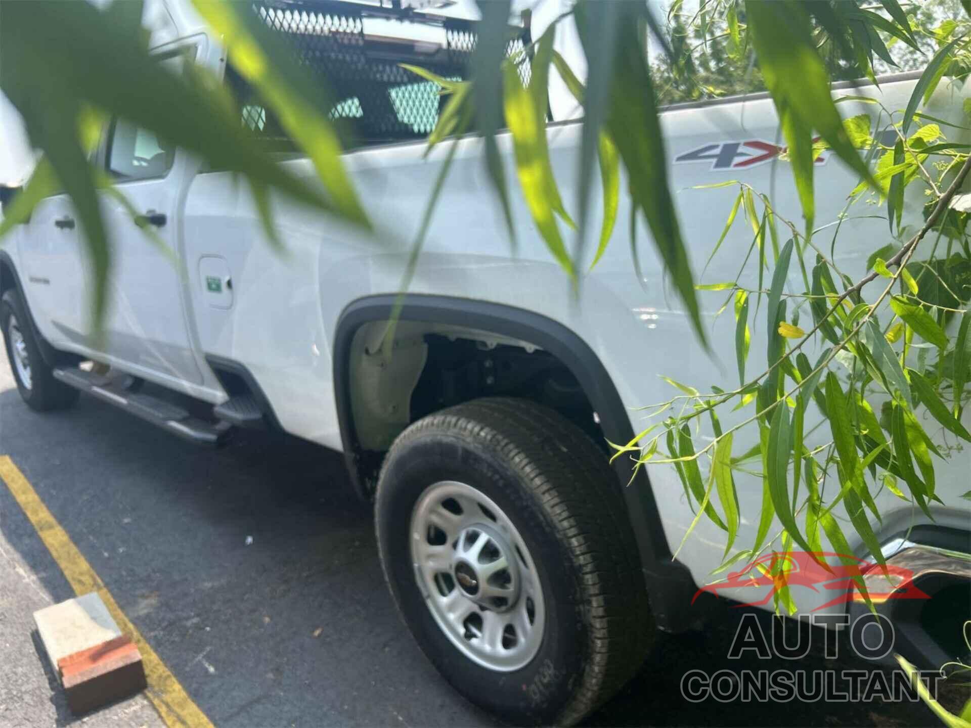 CHEVROLET SILVERADO 2024 - 1GC4YSEY1RF192480