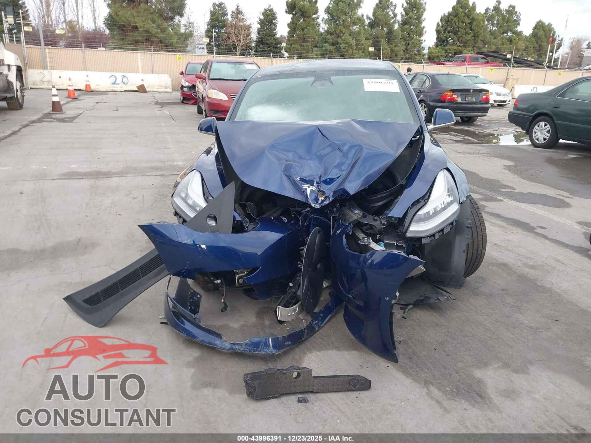 TESLA MODEL 3 2019 - 5YJ3E1EA2KF299534