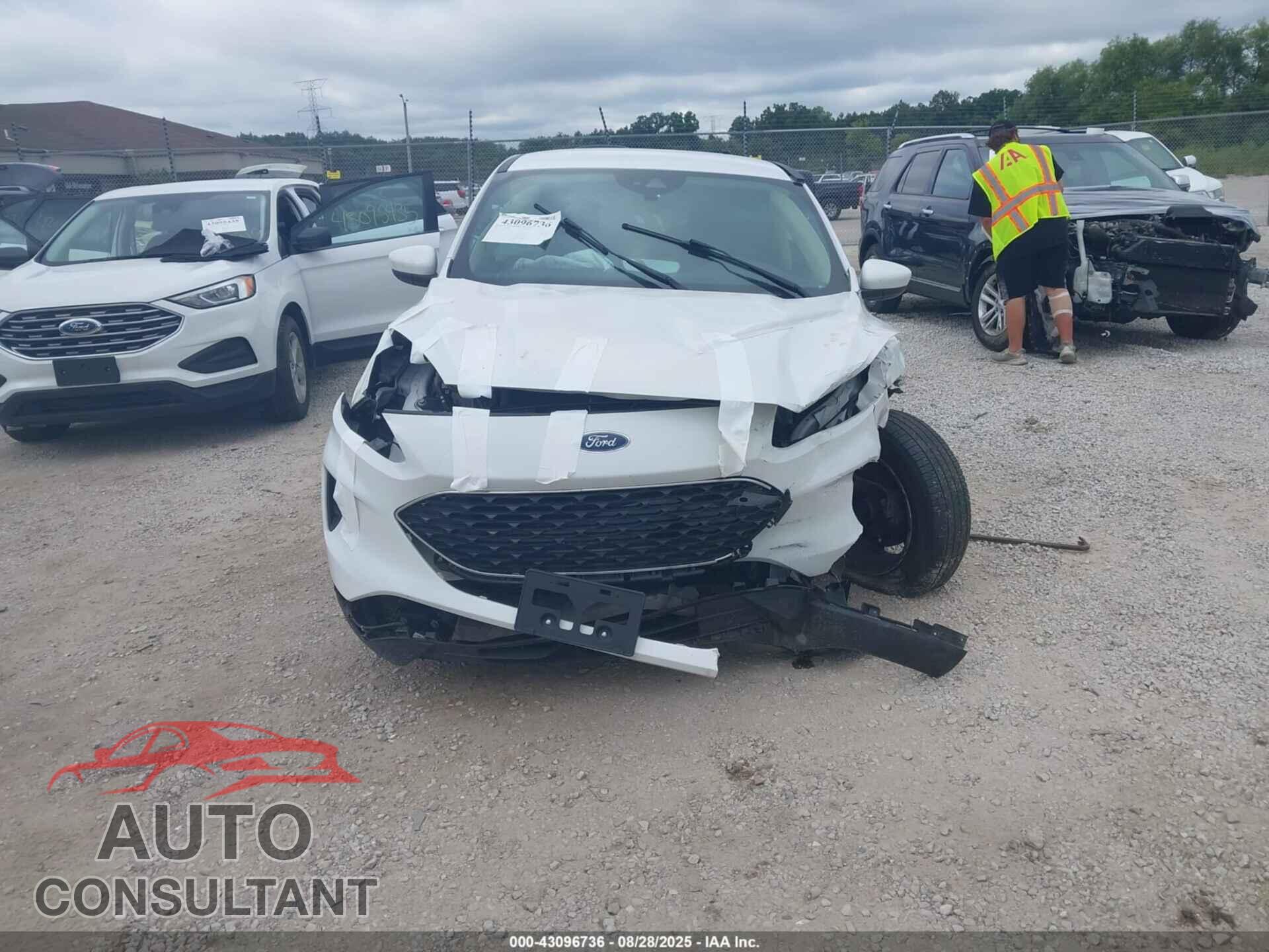 FORD ESCAPE 2020 - 1FMCU9G63LUA04679