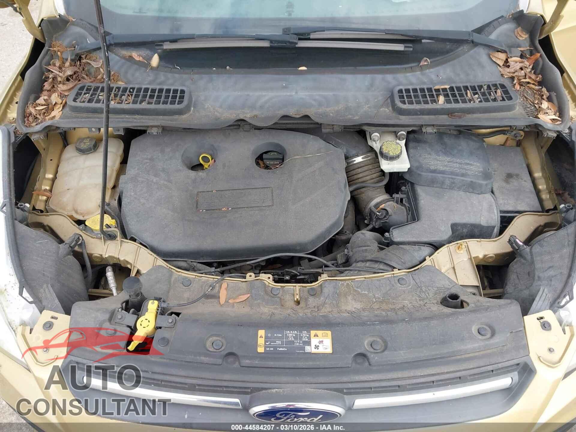 FORD ESCAPE 2014 - 1FMCU0G94EUD79800
