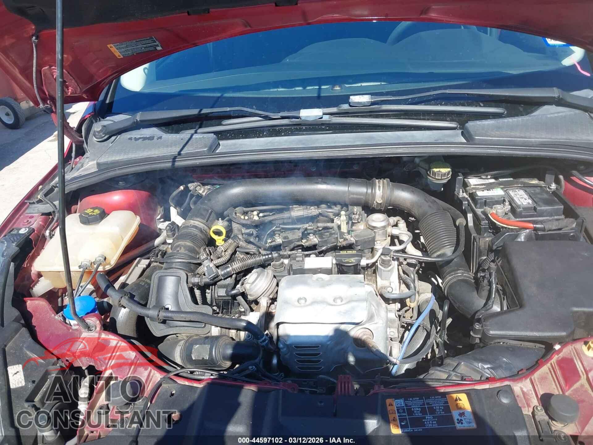 FORD FOCUS 2016 - 1FADP3FEXGL336447