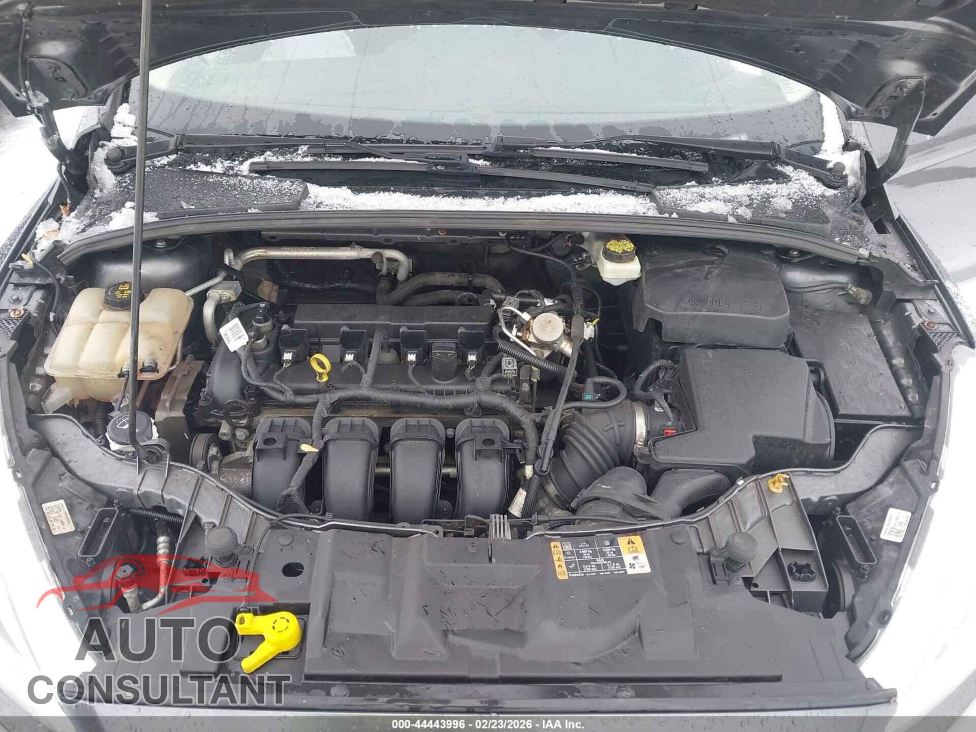 FORD FOCUS 2017 - 1FADP3F21HL288408