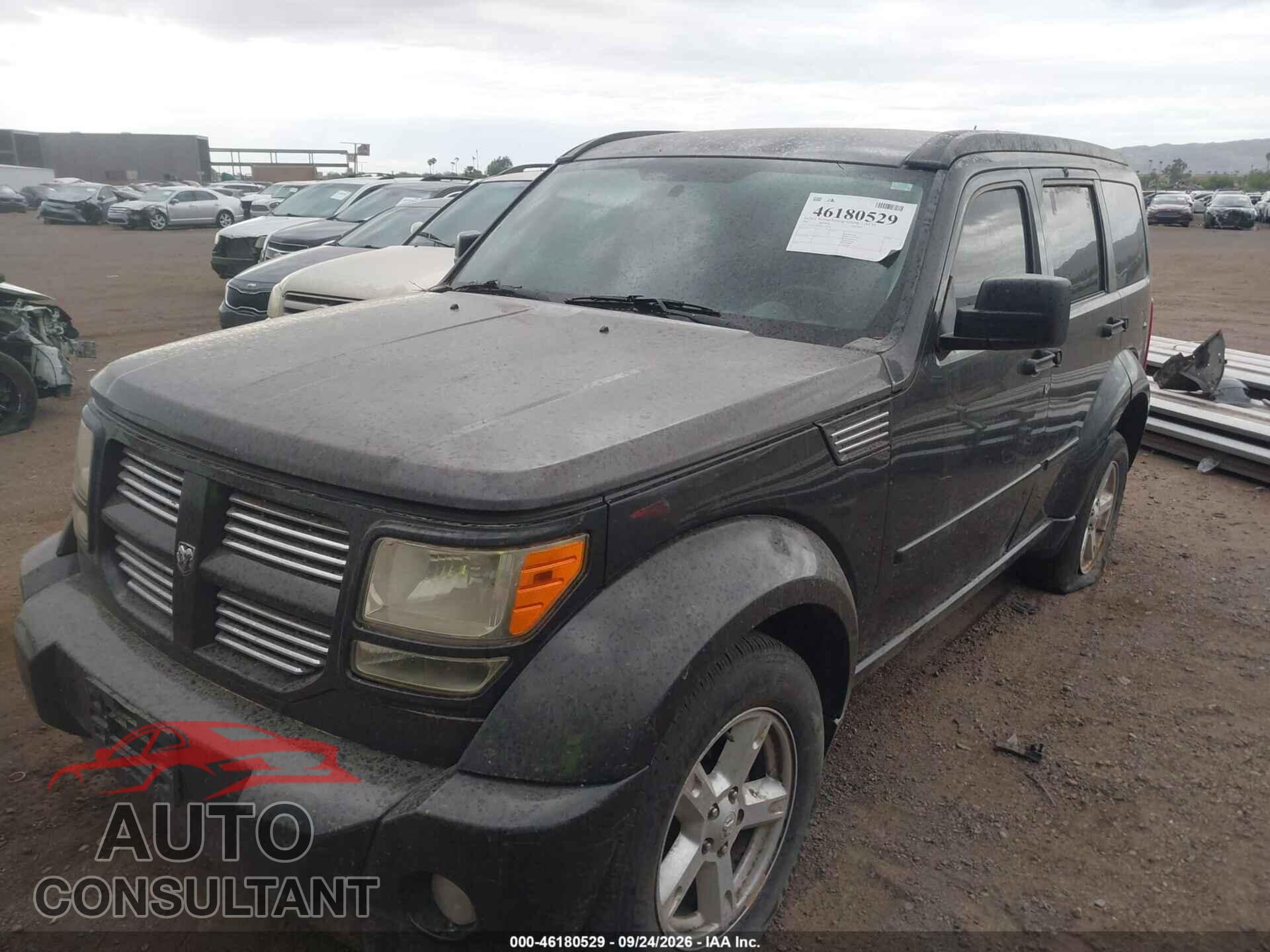 DODGE NITRO 2011 - 1D4PT5GK7BW573975