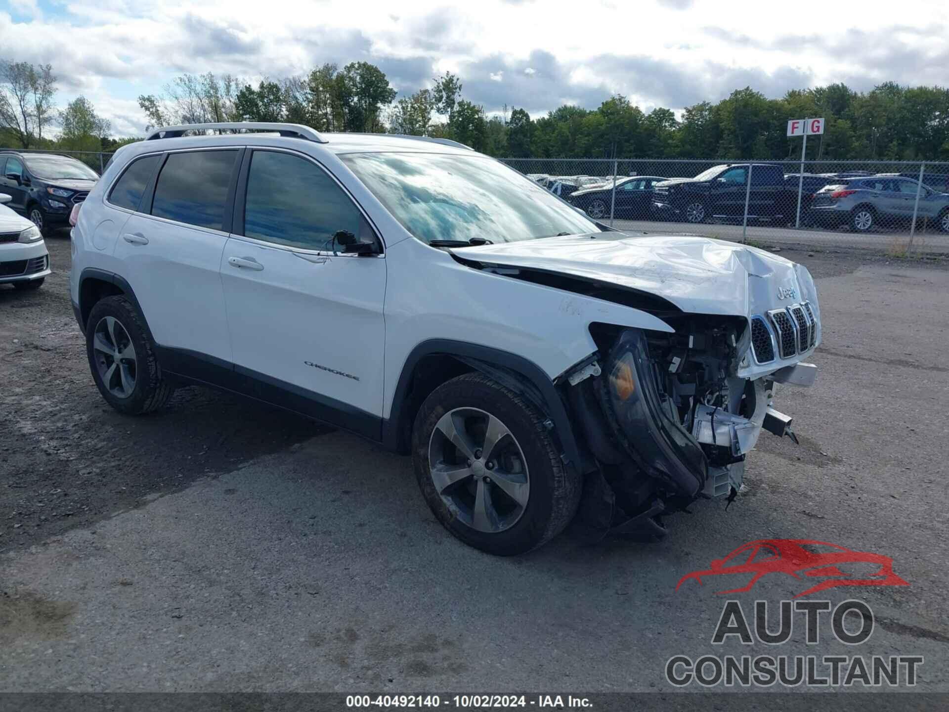 JEEP CHEROKEE 2019 - 1C4PJMDX6KD218207