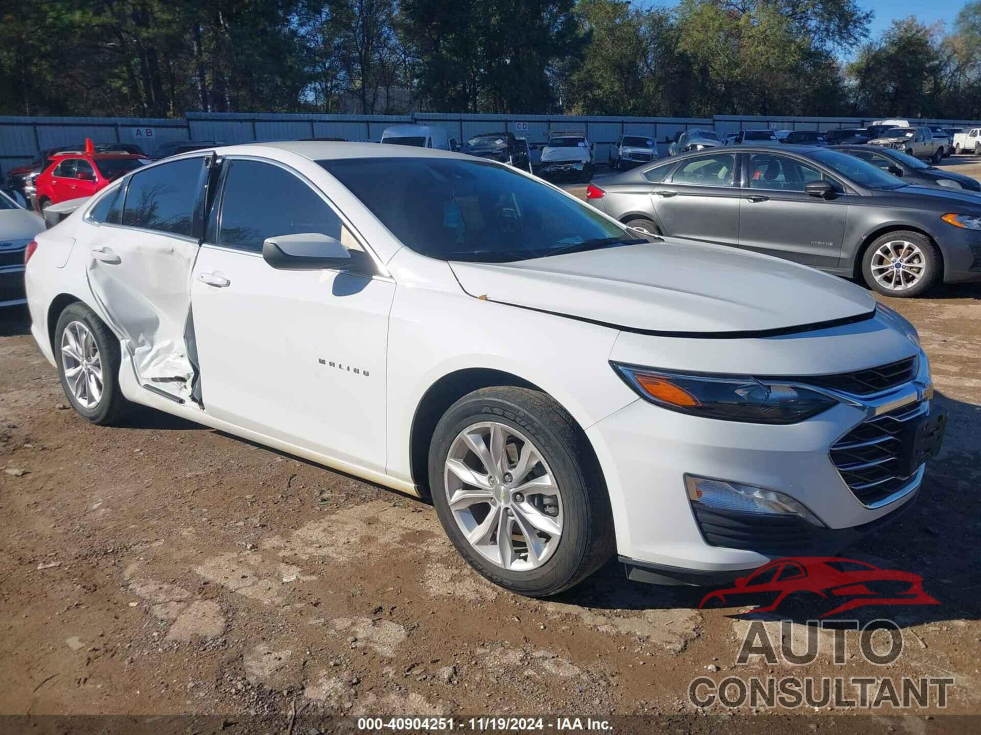 CHEVROLET MALIBU 2019 - 1G1ZD5ST7KF203833