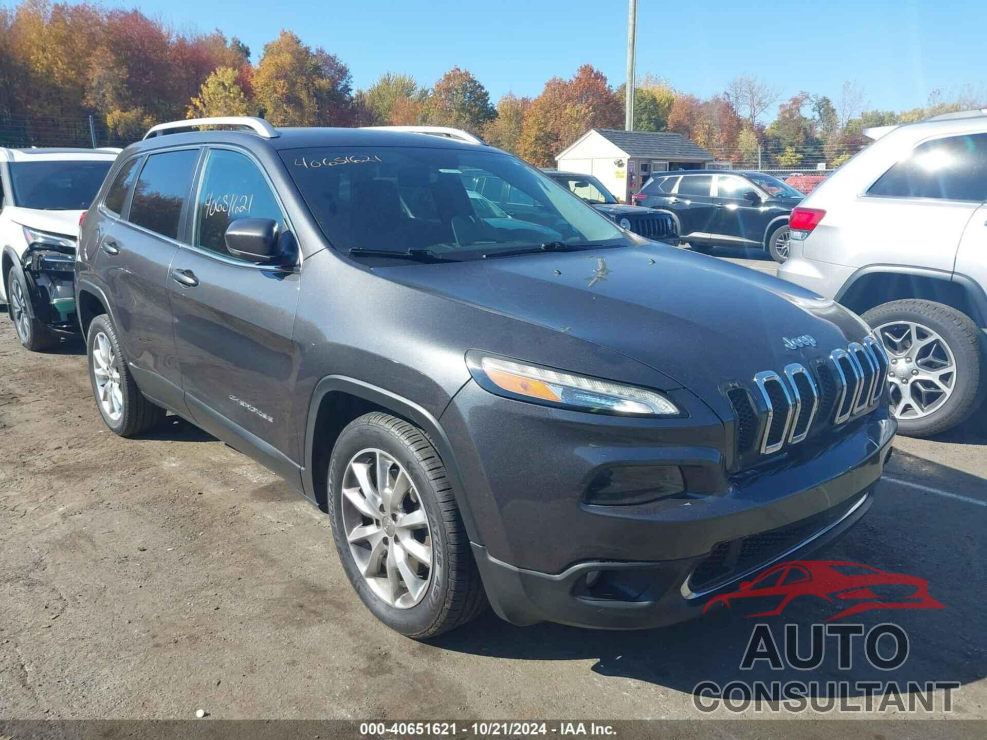 JEEP CHEROKEE 2016 - 1C4PJLDB1GW160761