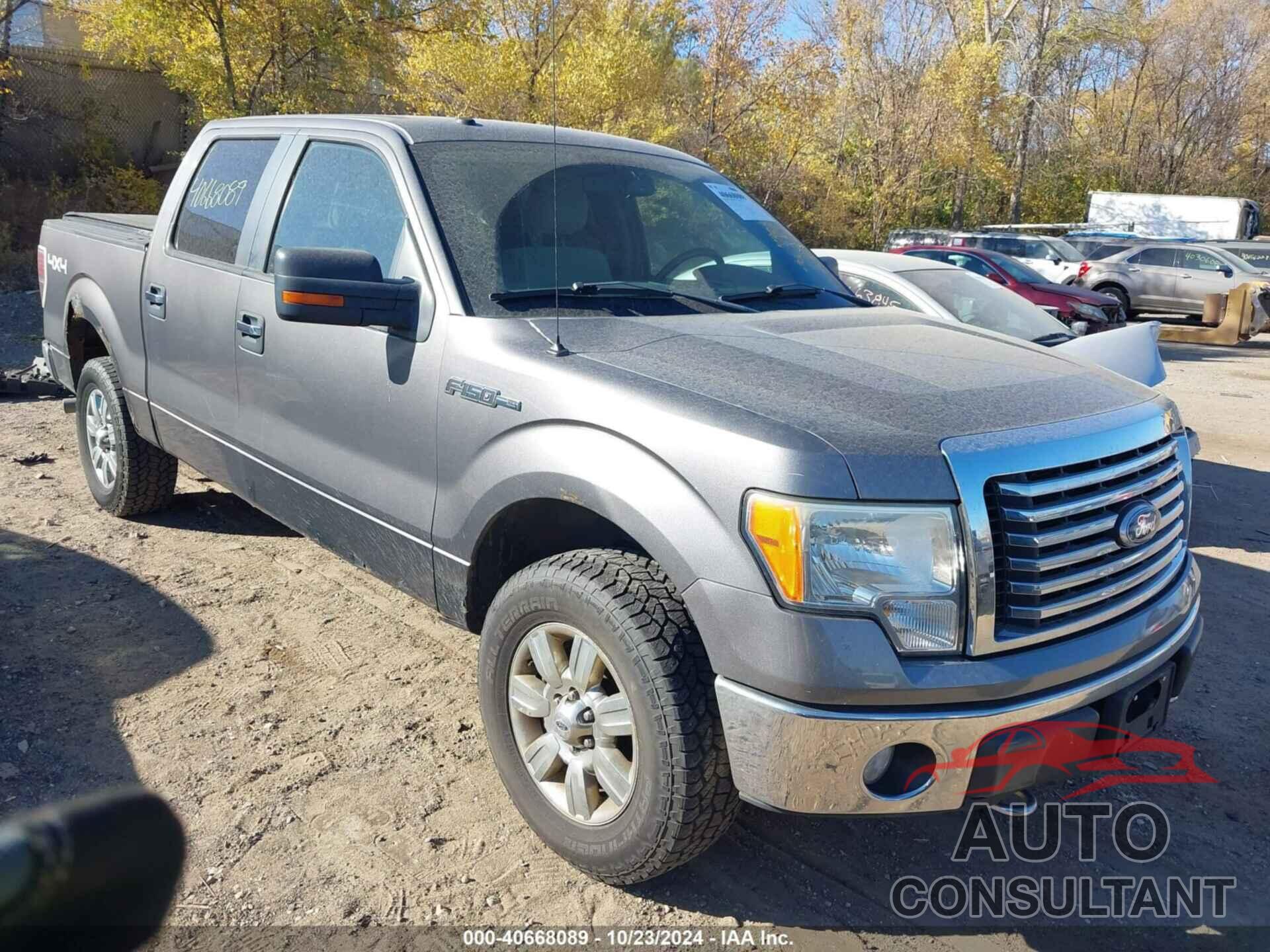 FORD F-150 2010 - 1FTFW1EV2AFC05756