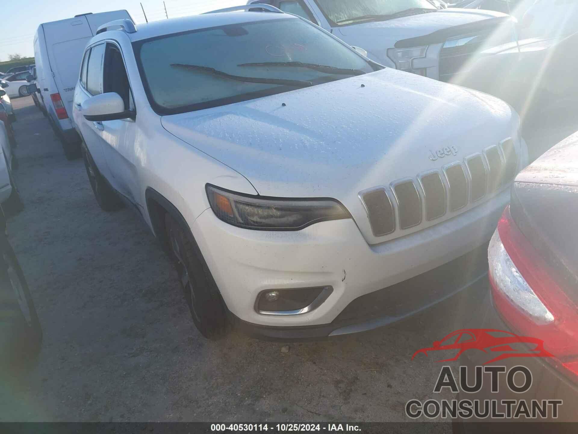 JEEP CHEROKEE 2019 - 1C4PJLDB9KD348884