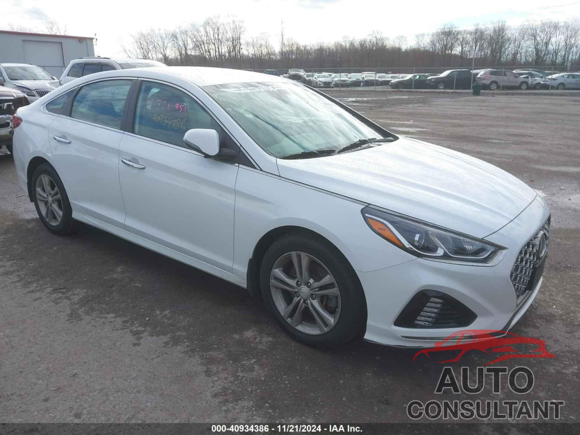 HYUNDAI SONATA 2019 - 5NPE34AF3KH804337