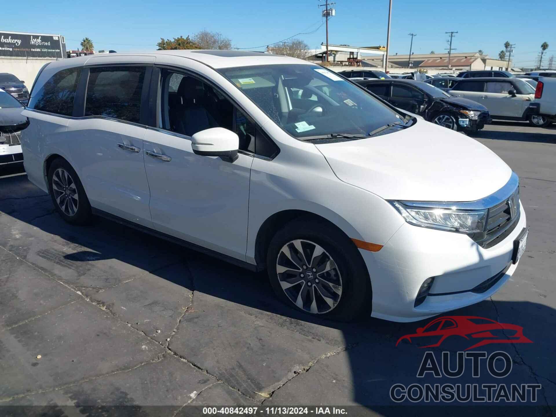 HONDA ODYSSEY 2024 - 5FNRL6H66RB068117