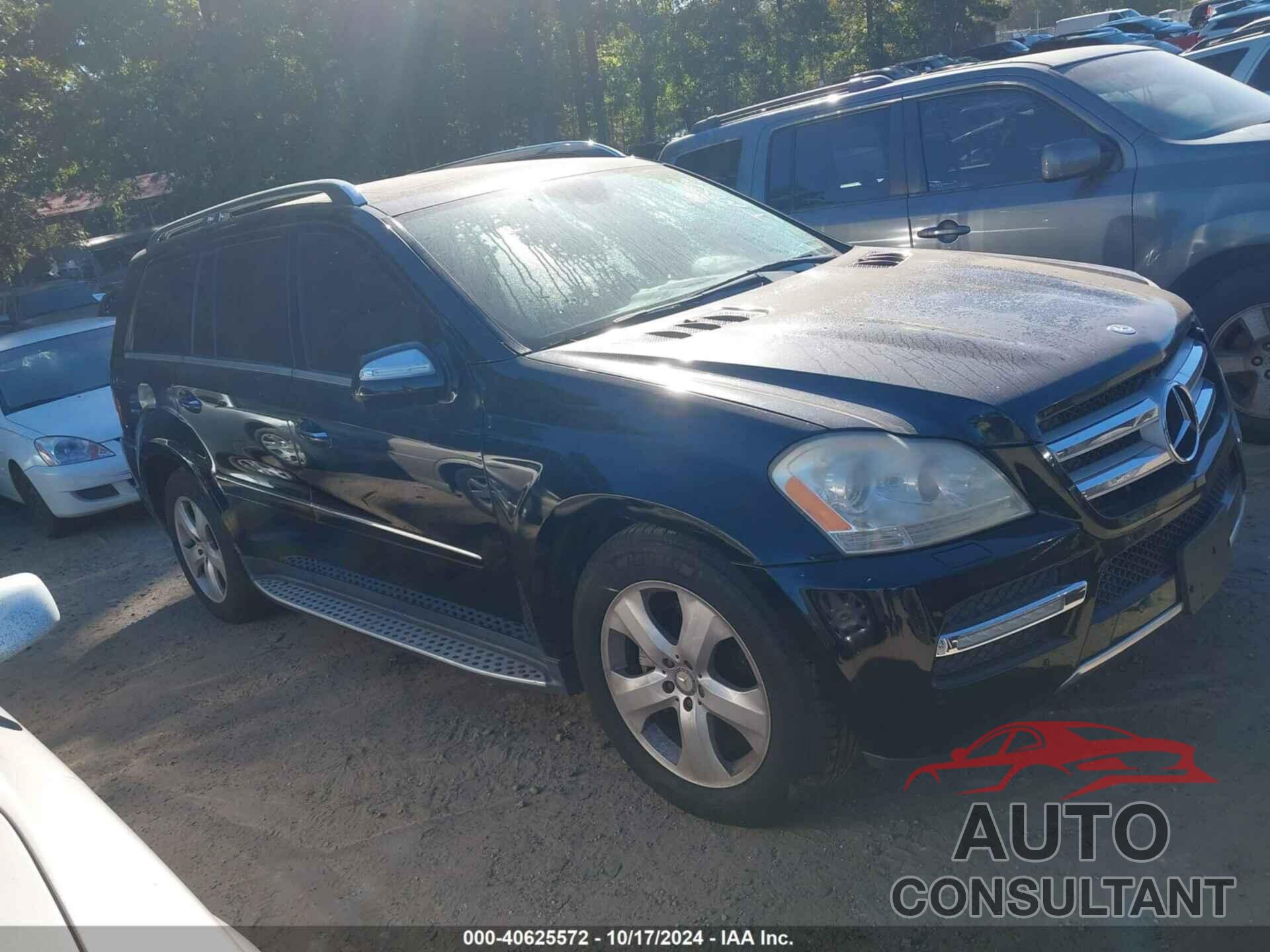 MERCEDES-BENZ GL 450 2010 - 4JGBF7BE1AA543549