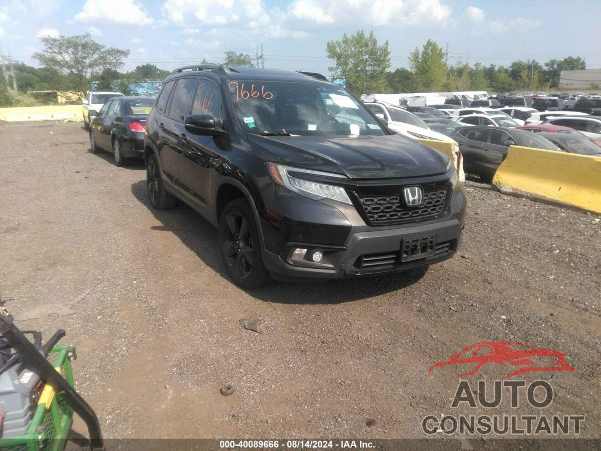 HONDA PASSPORT 2019 - 5FNYF8H08KB014639