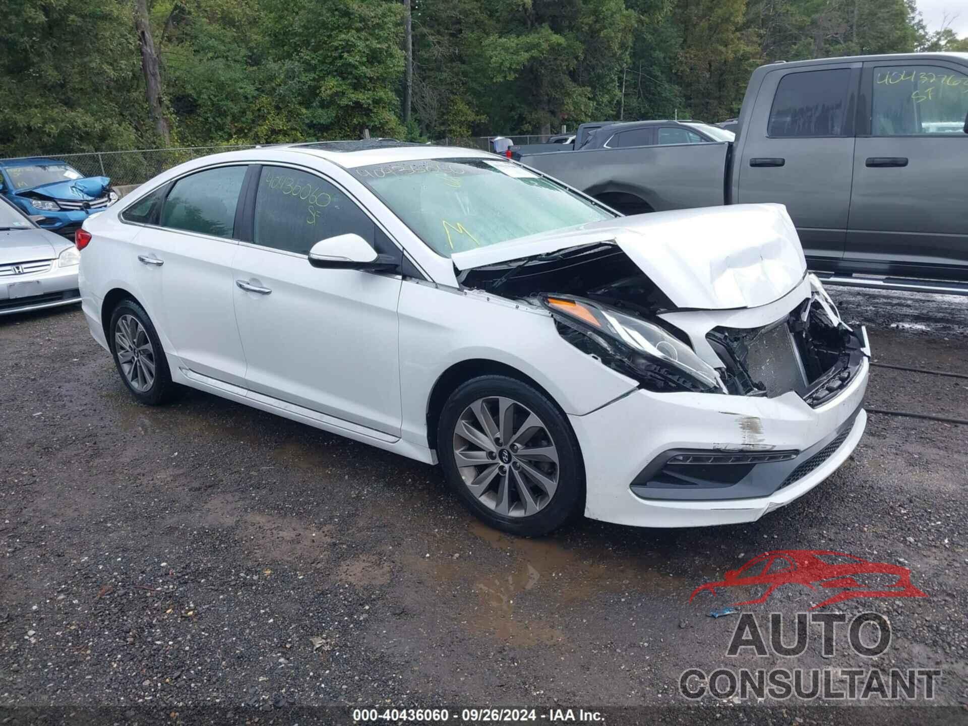 HYUNDAI SONATA 2016 - 5NPE34AF6GH364587