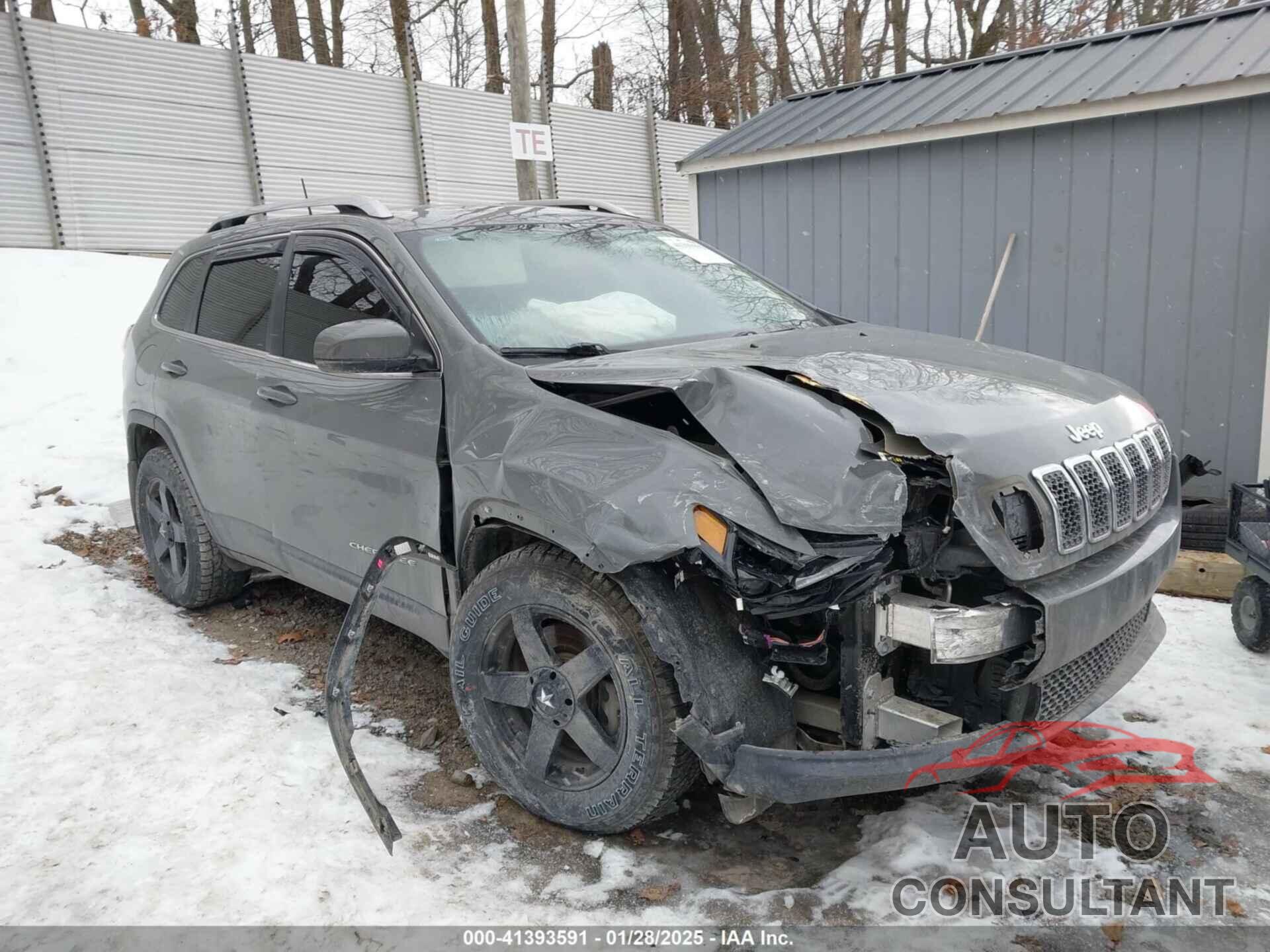 JEEP CHEROKEE 2020 - 1C4PJMLBXLD569046