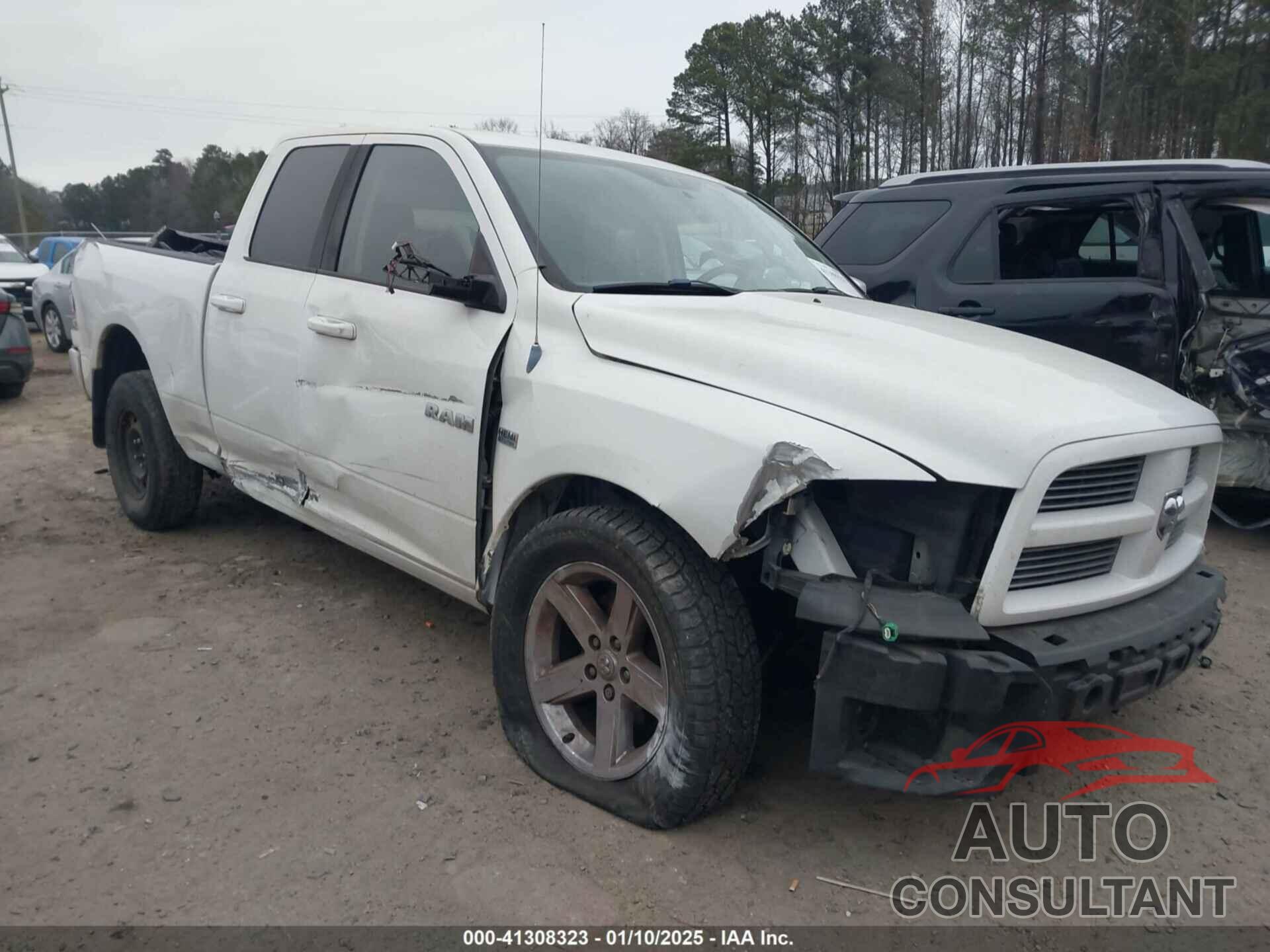 DODGE RAM 1500 2010 - 1D7RV1GT6AS239823