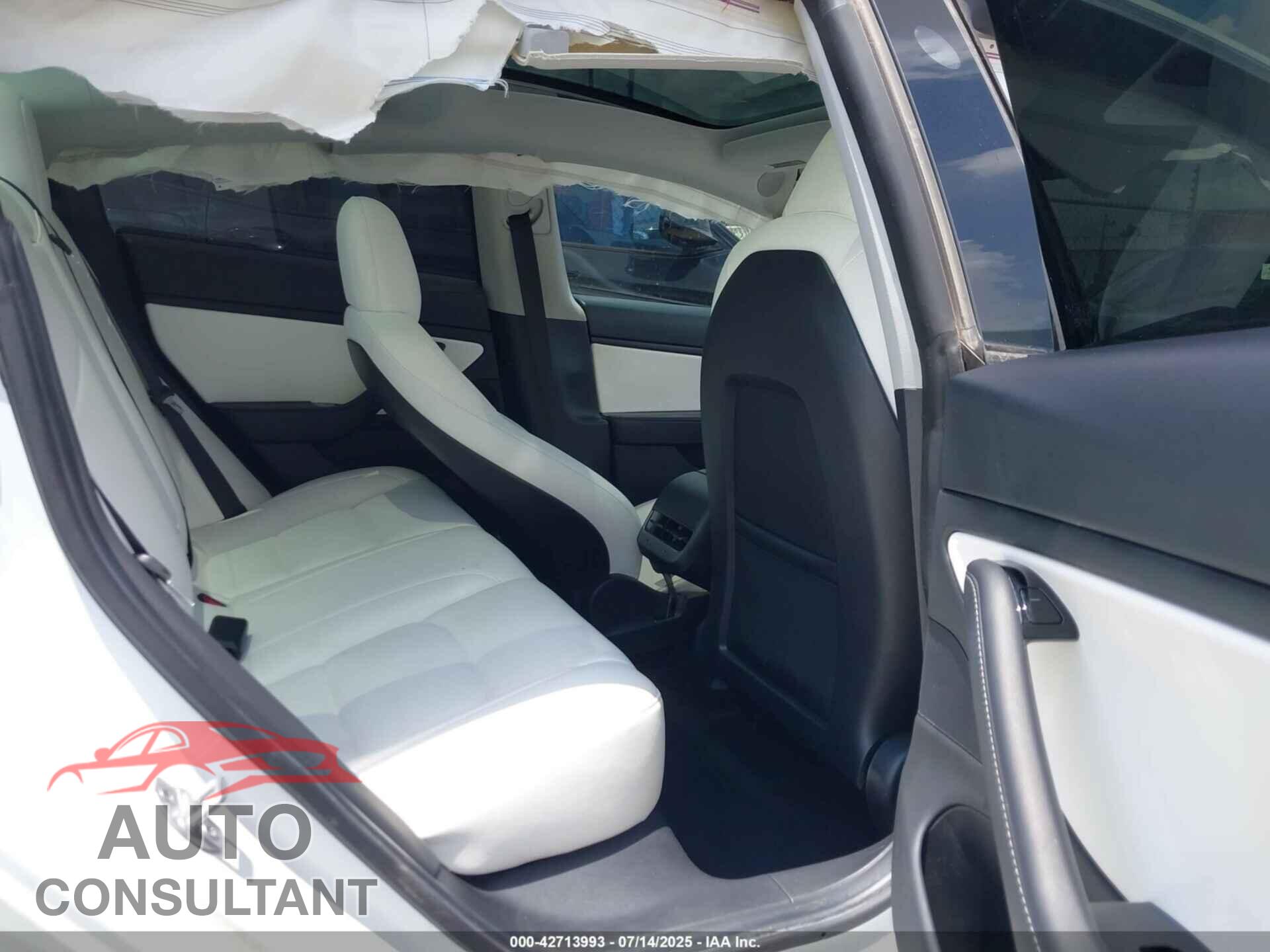 TESLA MODEL 3 2020 - 5YJ3E1EC9LF805542