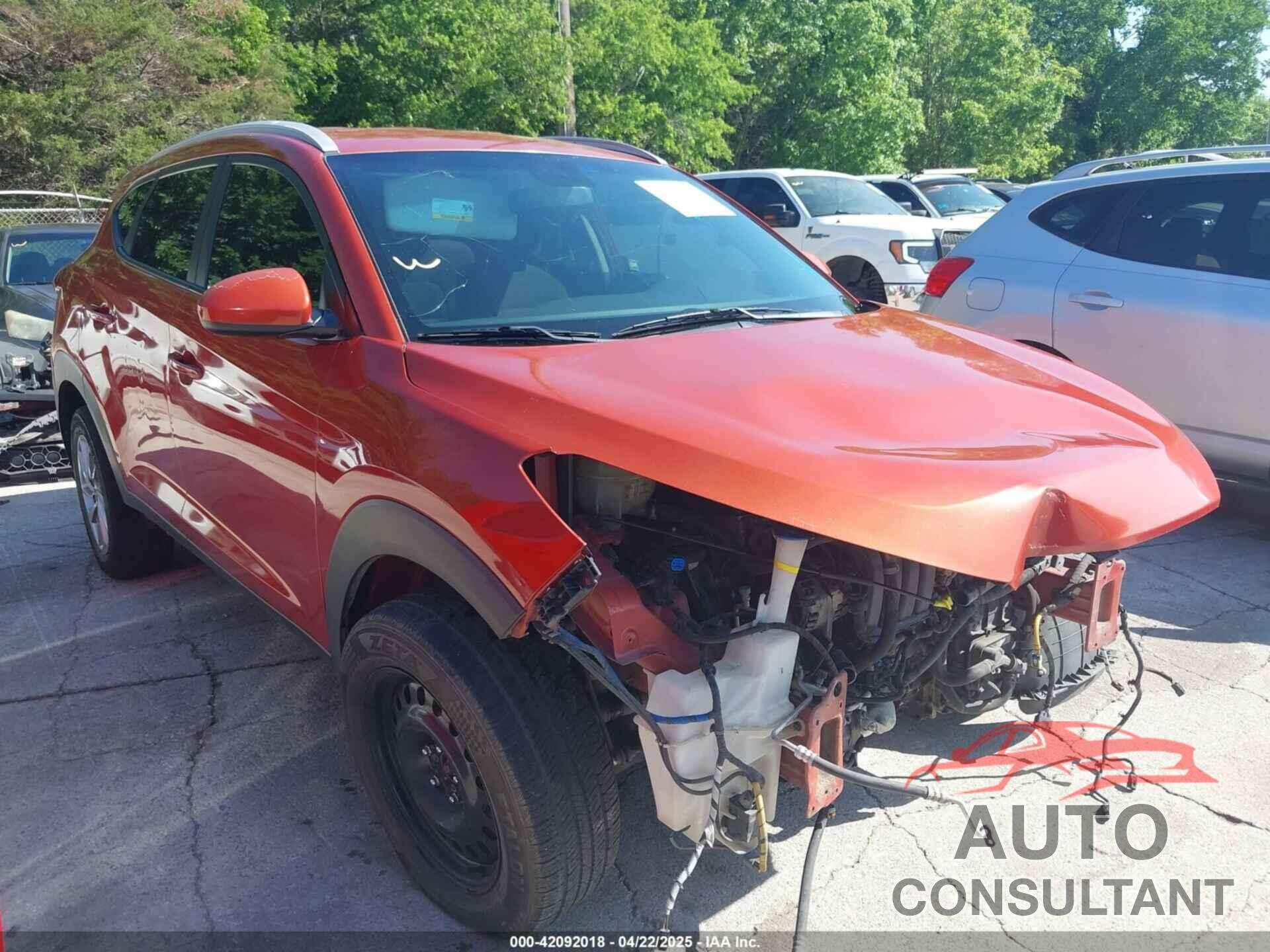 HYUNDAI TUCSON 2017 - KM8J33A40HU318652
