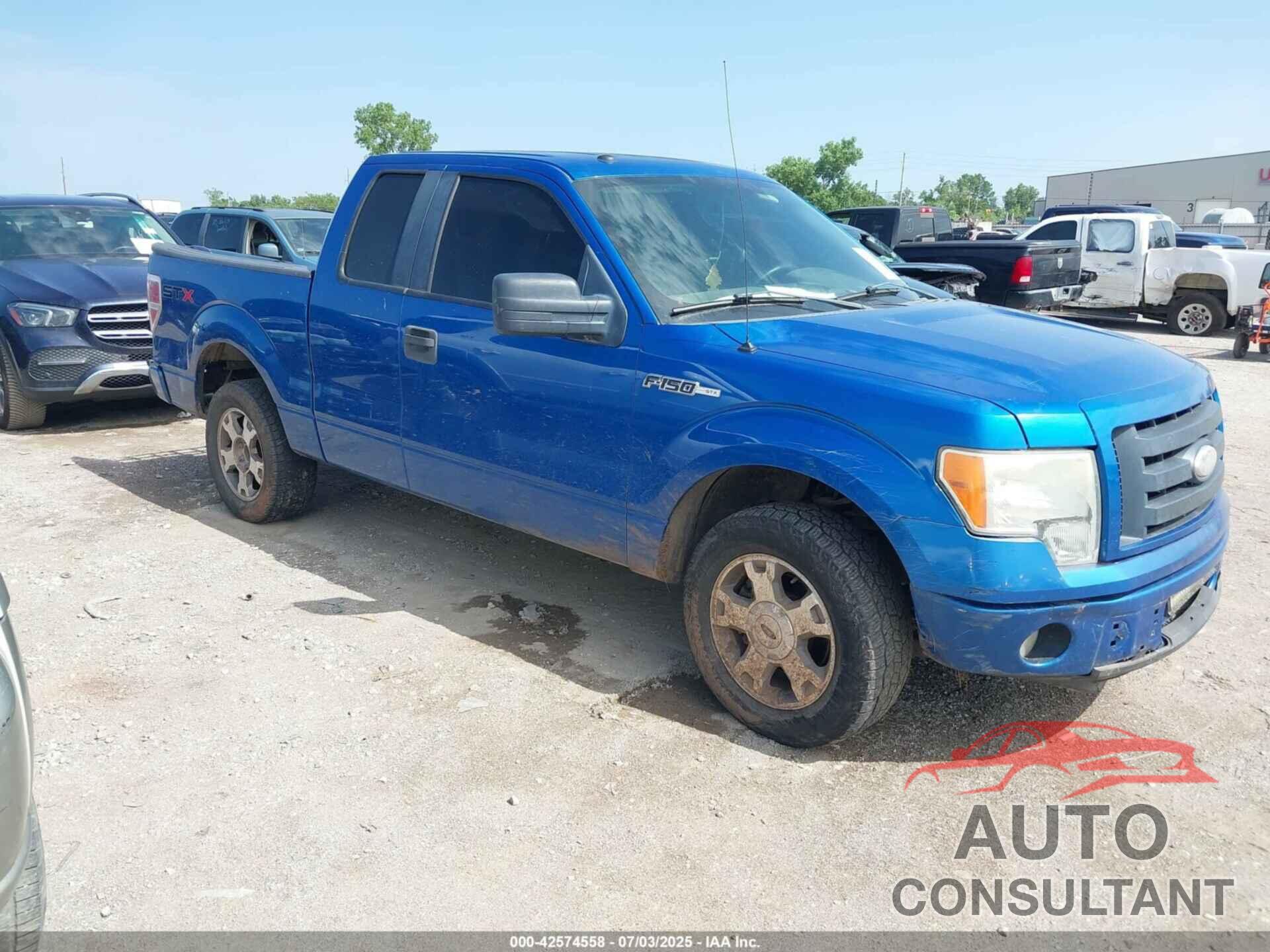 FORD F-150 2009 - 1FTRX12829KB90445