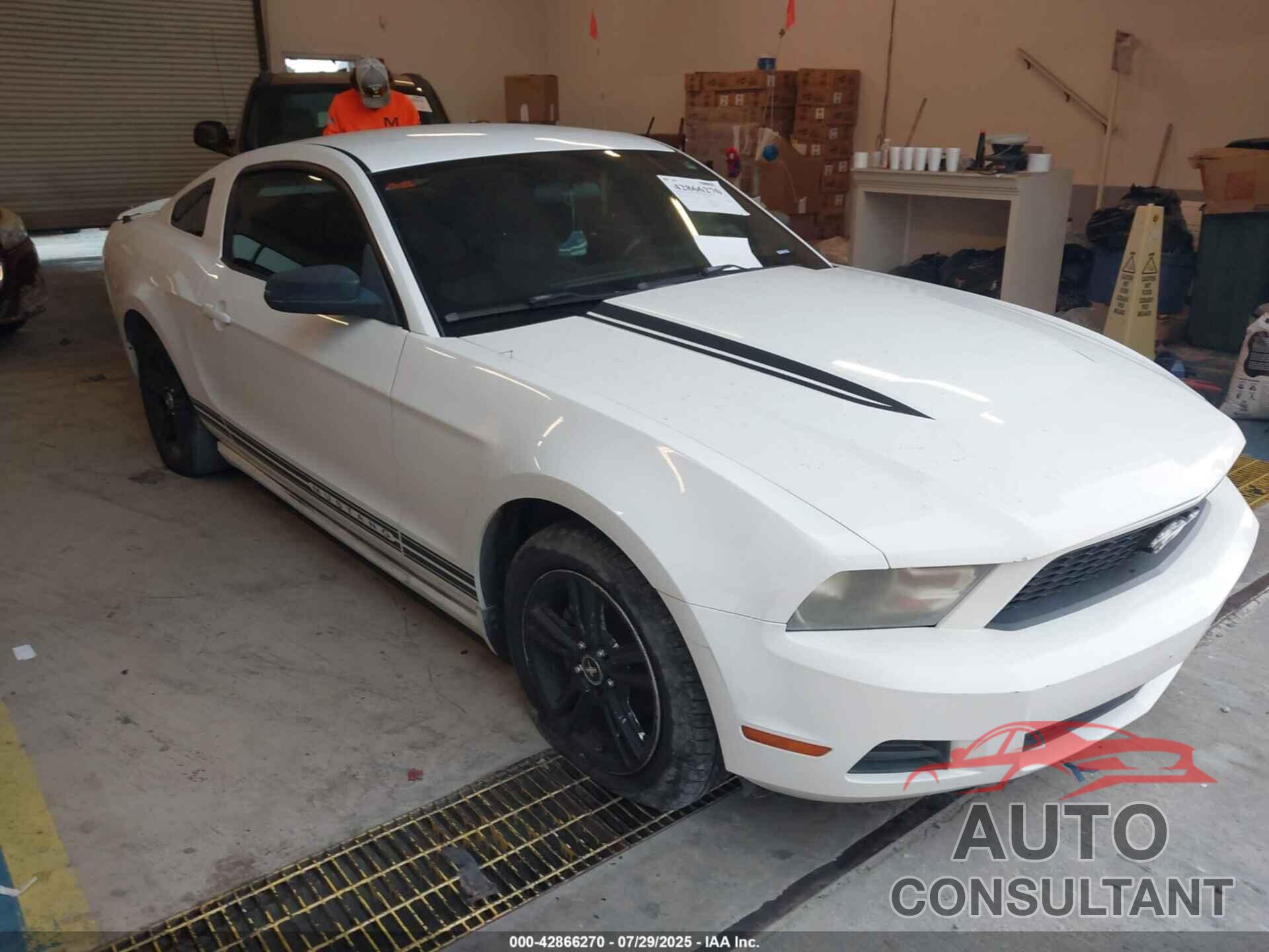 FORD MUSTANG 2010 - 1ZVBP8AN1A5124096