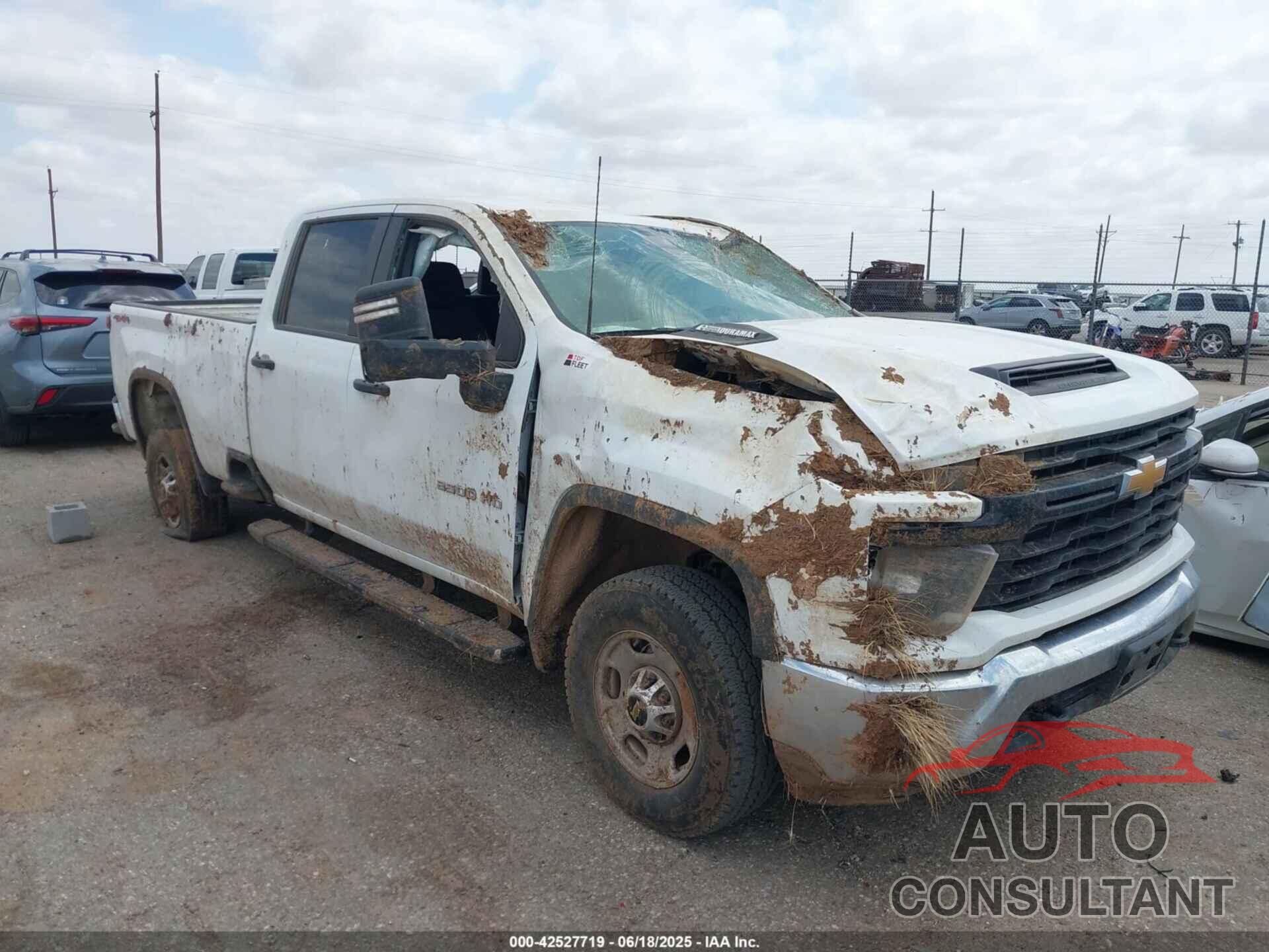CHEVROLET SILVERADO 2500HD 2024 - 1GC1YLEY3RF403719