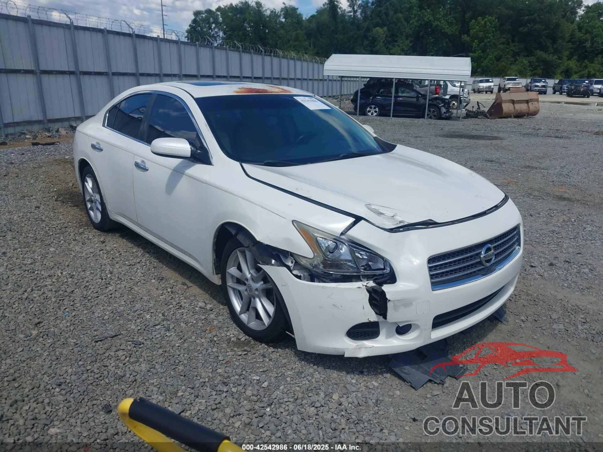 NISSAN MAXIMA 2009 - 1N4AA51E79C852064