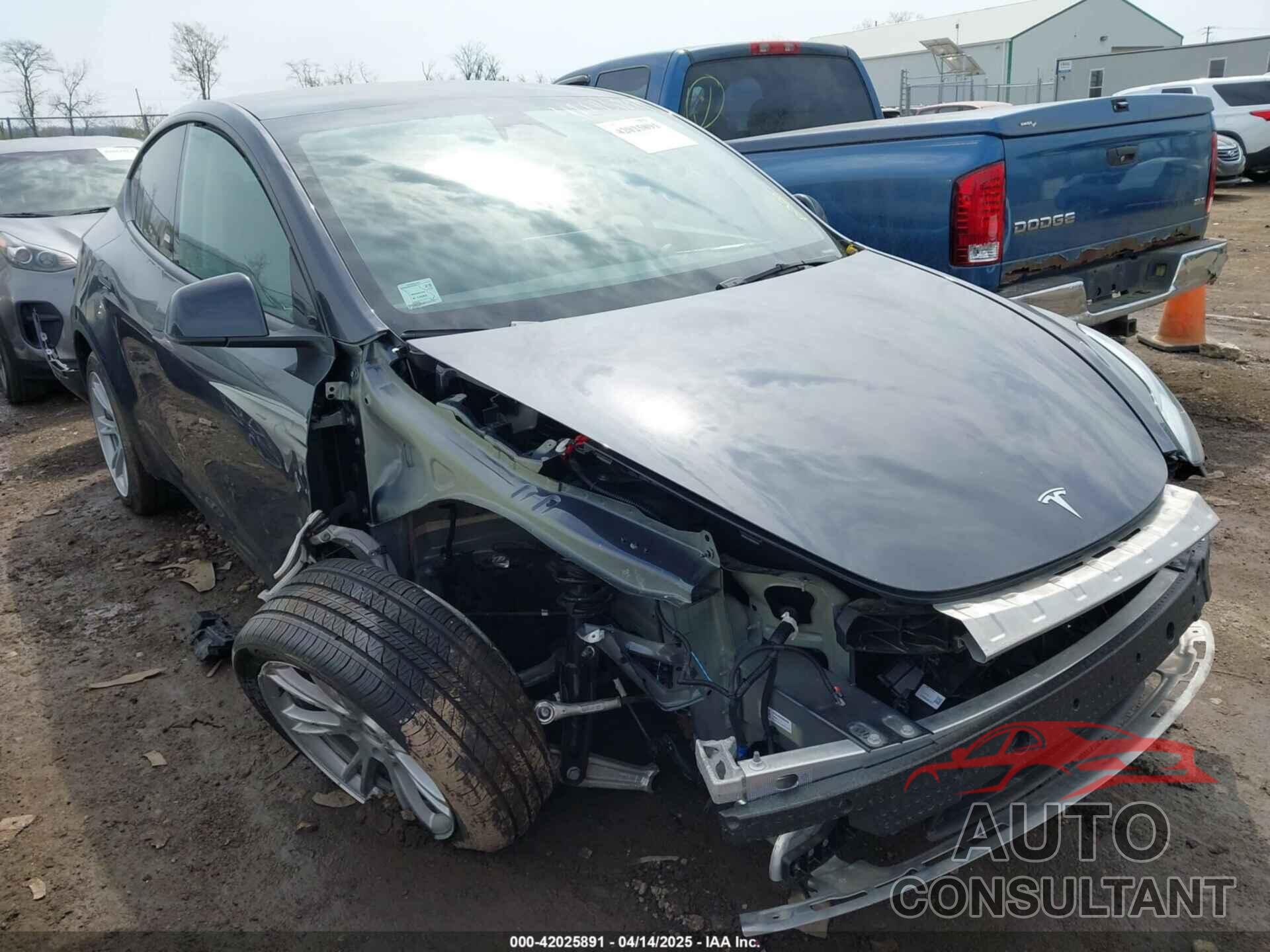 TESLA MODEL Y 2024 - 7SAYGDEE5RA226317