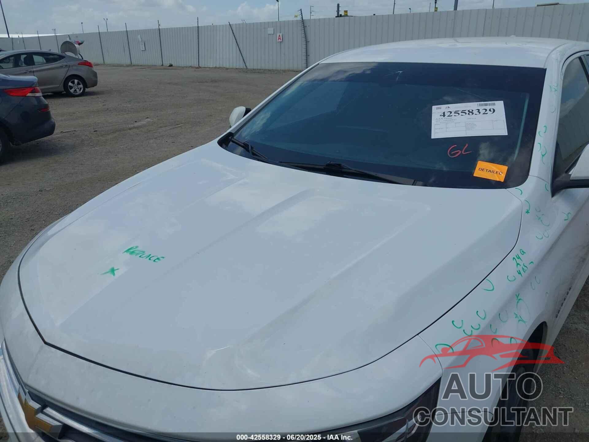CHEVROLET IMPALA 2019 - 2G11Z5S39K9111310