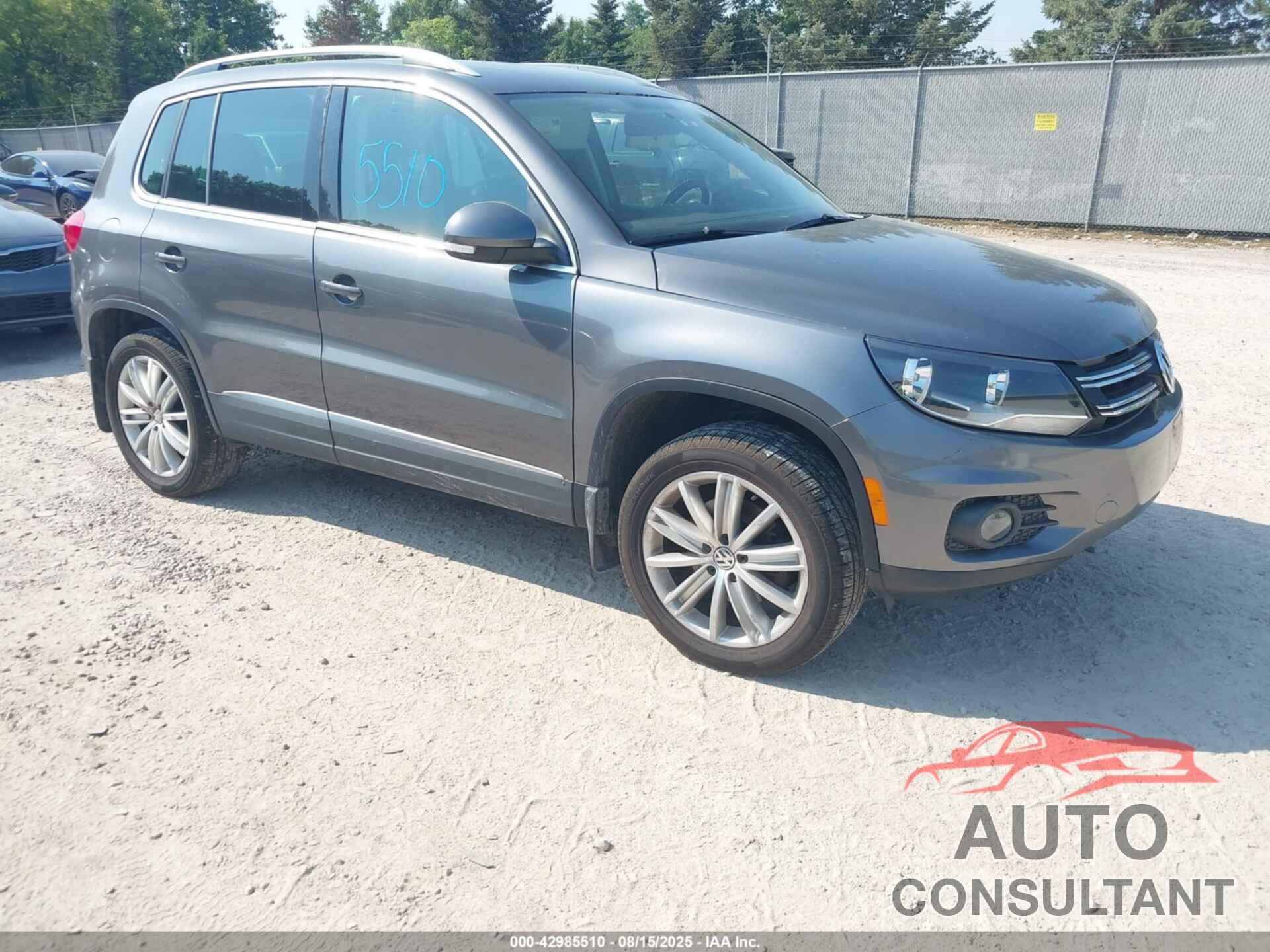 VOLKSWAGEN TIGUAN 2013 - WVGAV3AX5DW573963