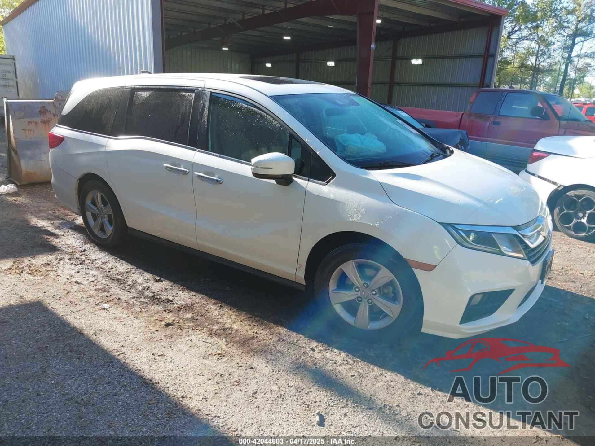 HONDA ODYSSEY 2019 - 5FNRL6H74KB015835