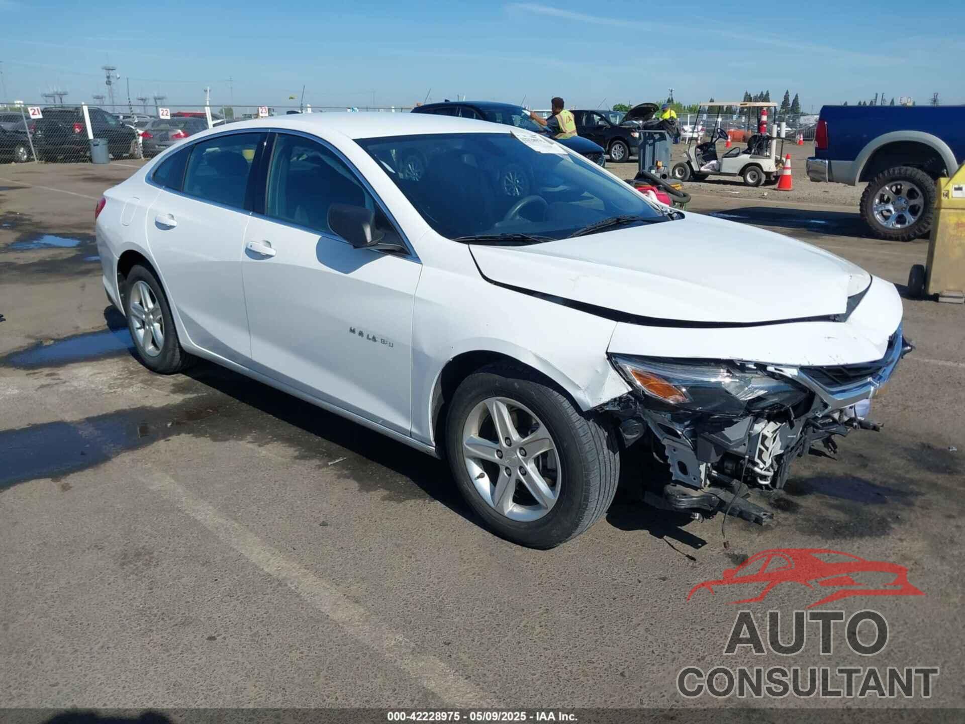 CHEVROLET MALIBU 2019 - 1G1ZC5ST4KF160927