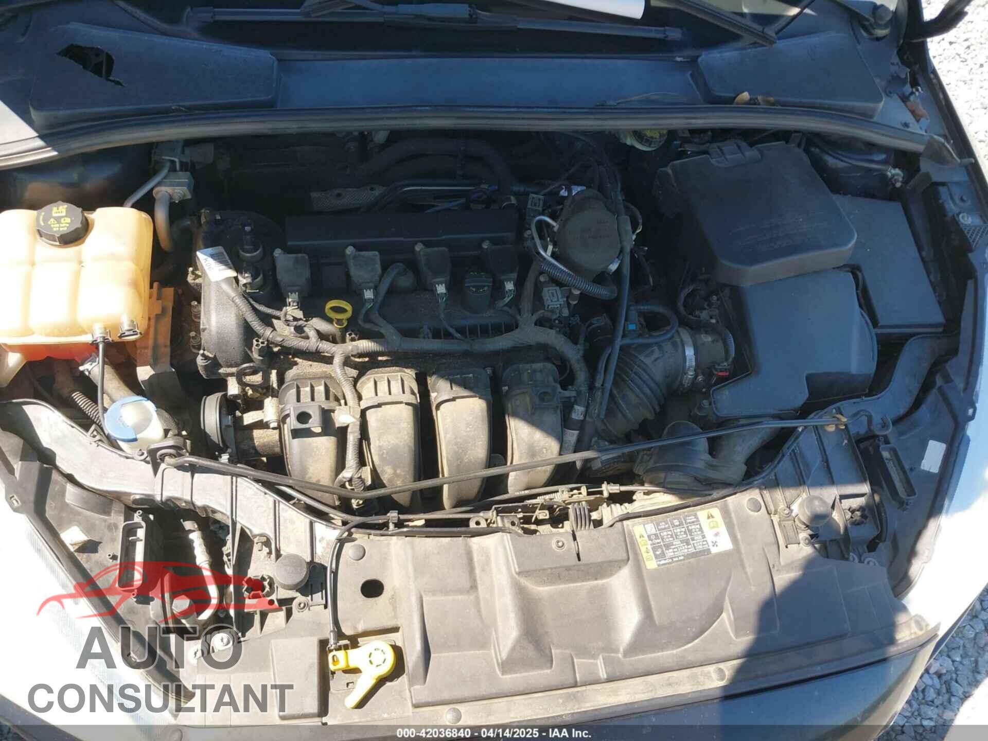 FORD FOCUS 2016 - 1FADP3F26GL285390