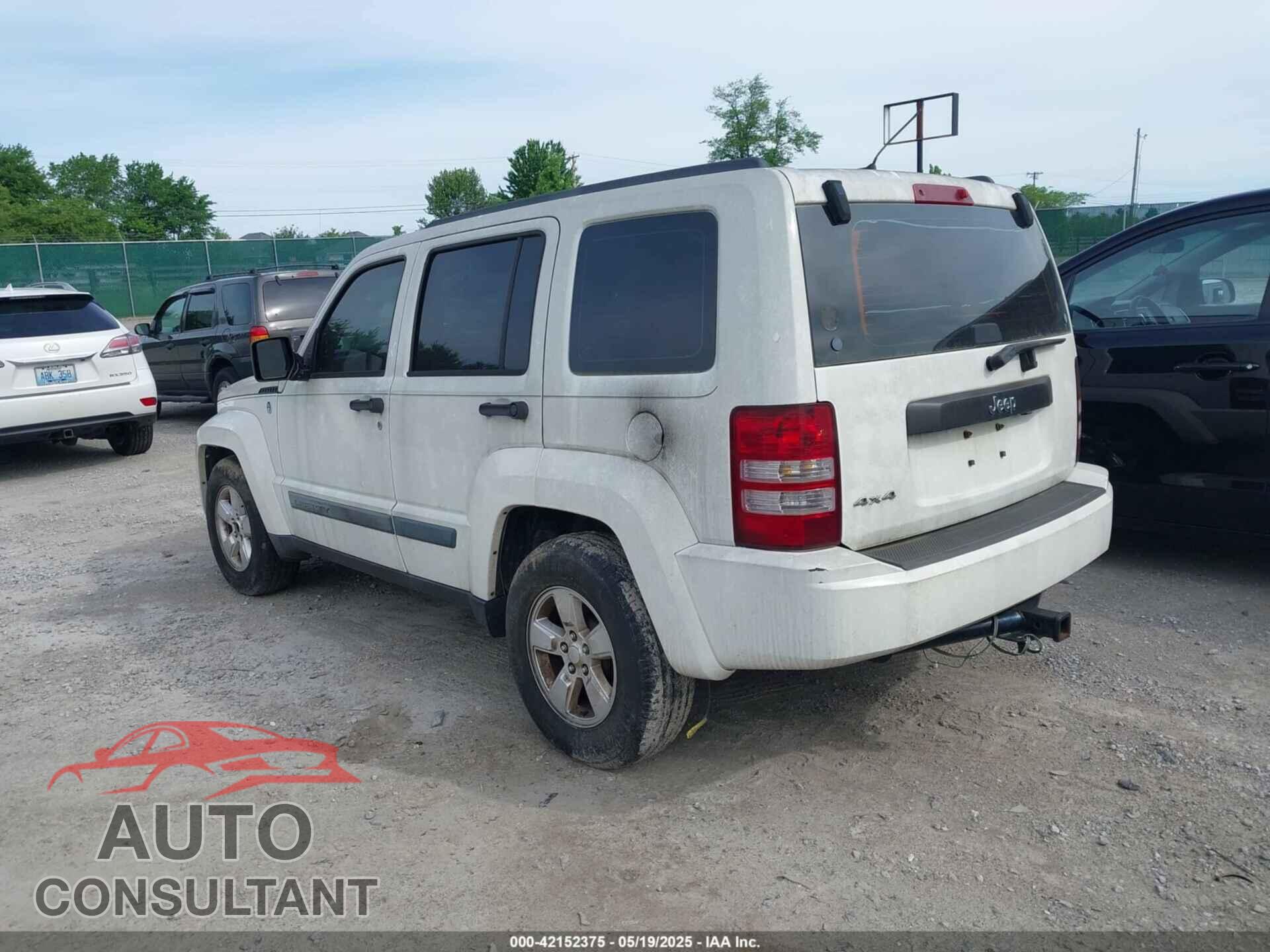 JEEP LIBERTY 2010 - 1J4PN2GK3AW166329