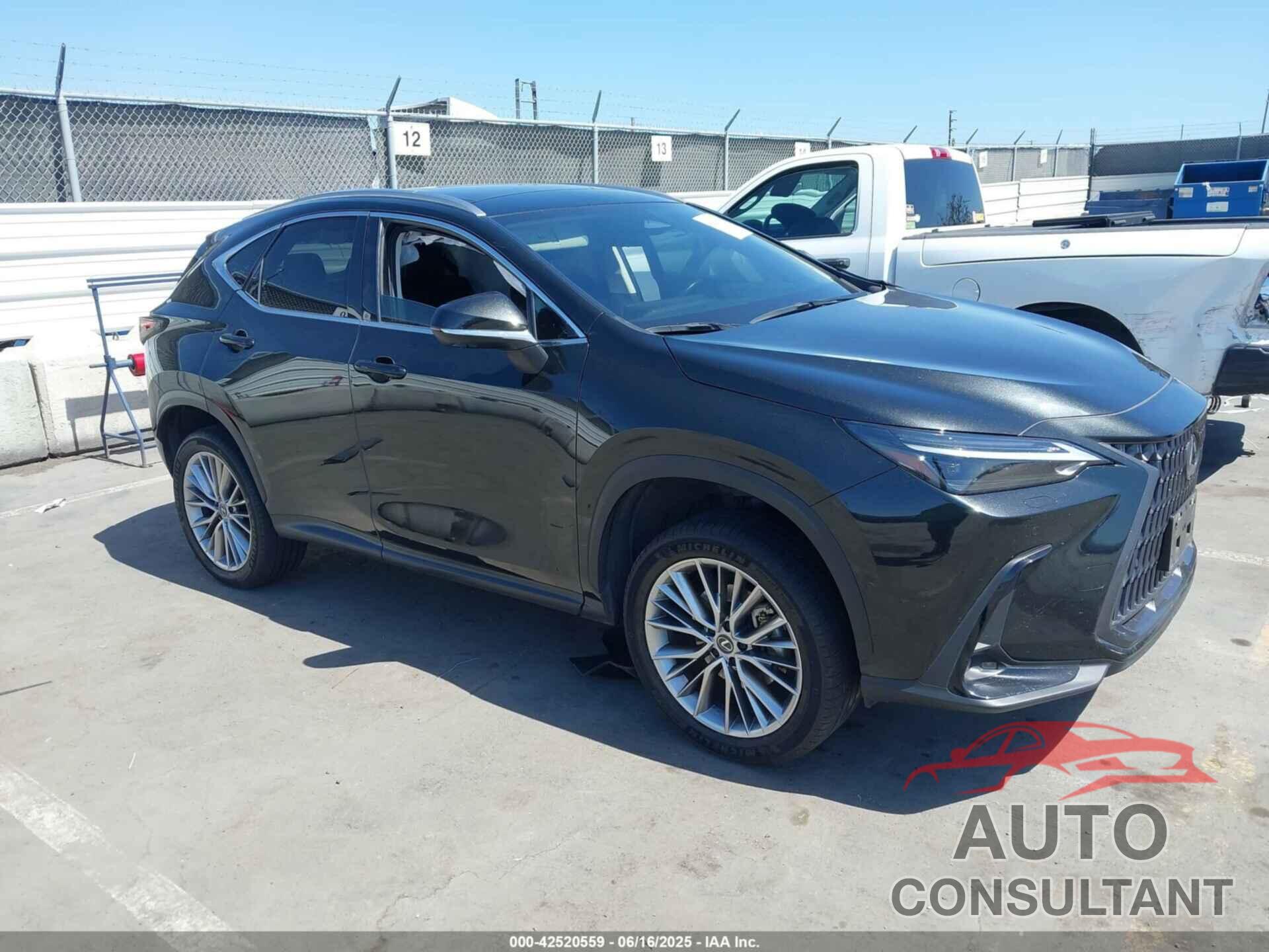 LEXUS NX 350H 2024 - JTJHKCEZXR2030756