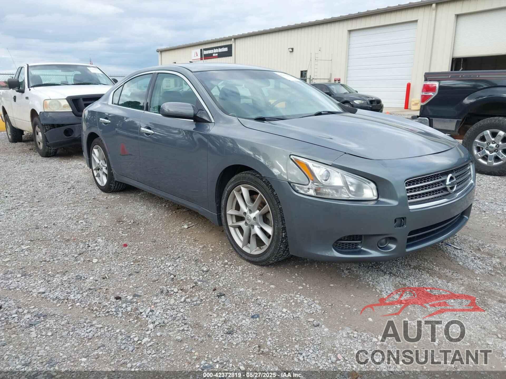 NISSAN MAXIMA 2011 - 1N4AA5AP9BC805433