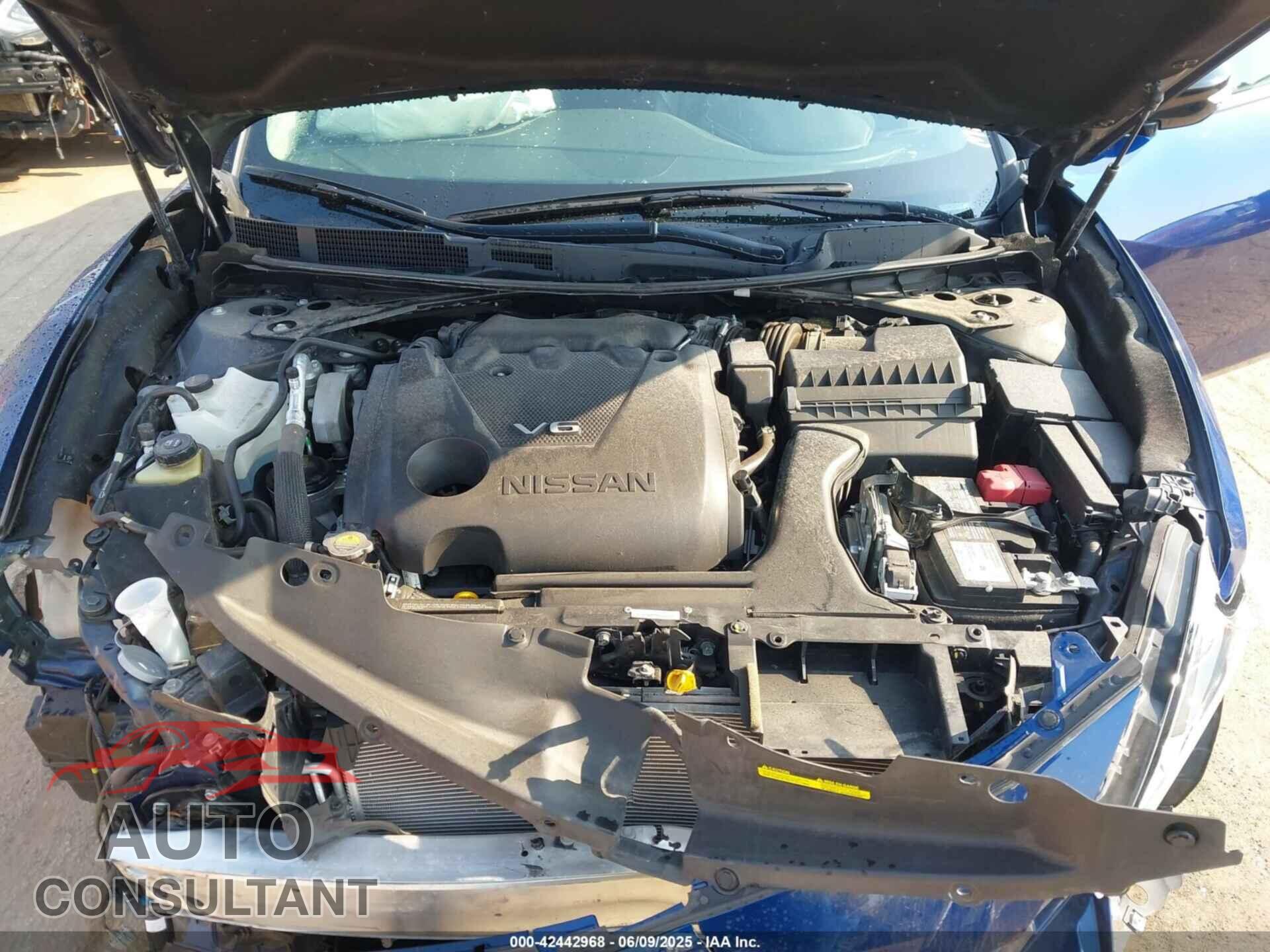 NISSAN MAXIMA 2021 - 1N4AA6CV4MC501236