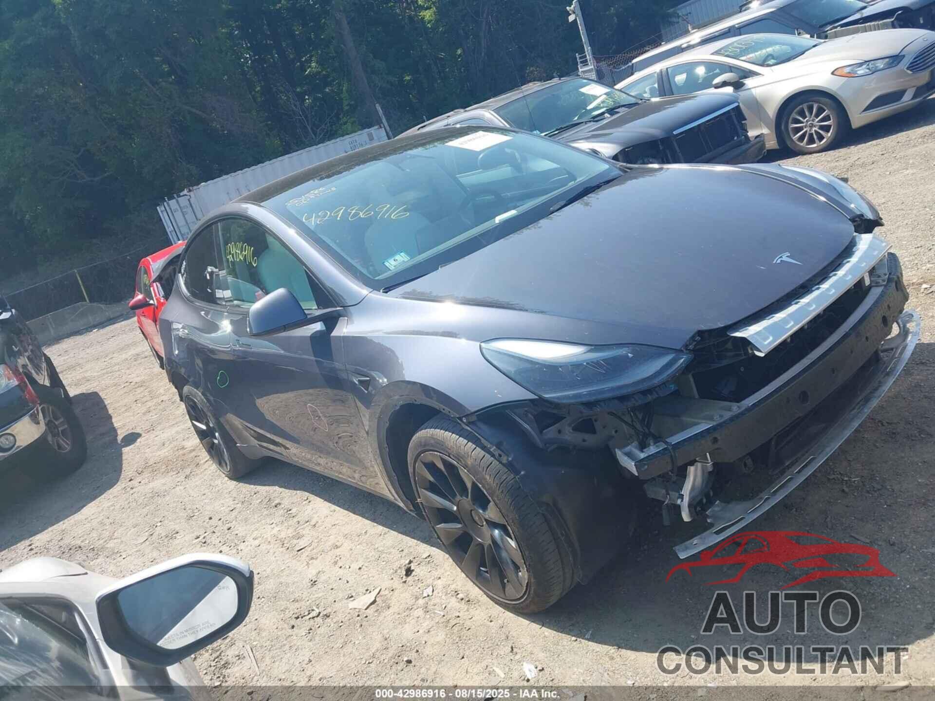 TESLA MODEL Y 2023 - 7SAYGDEE5PF784586