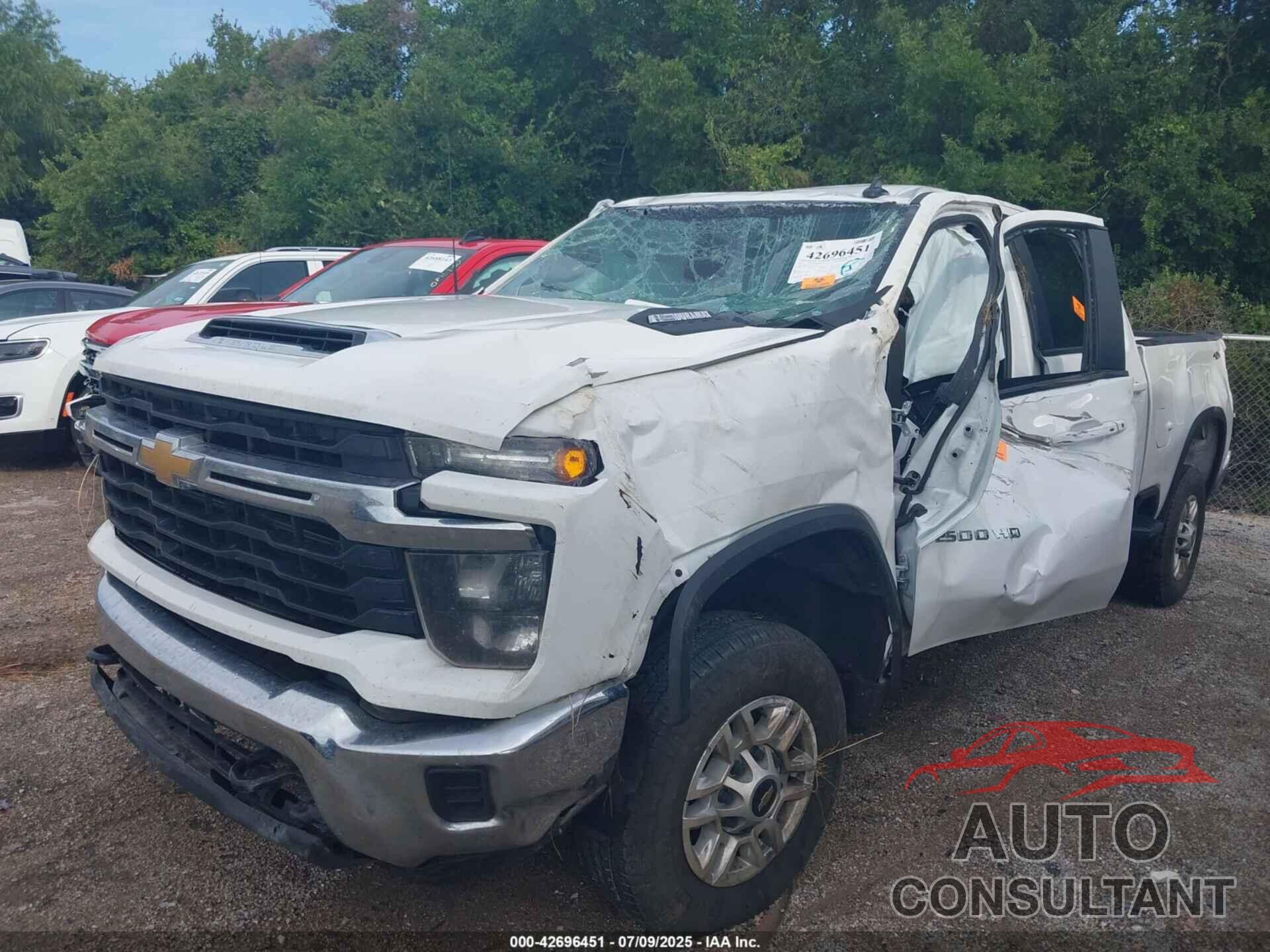 CHEVROLET SILVERADO 2024 - 2GC4YNEY3R1230137