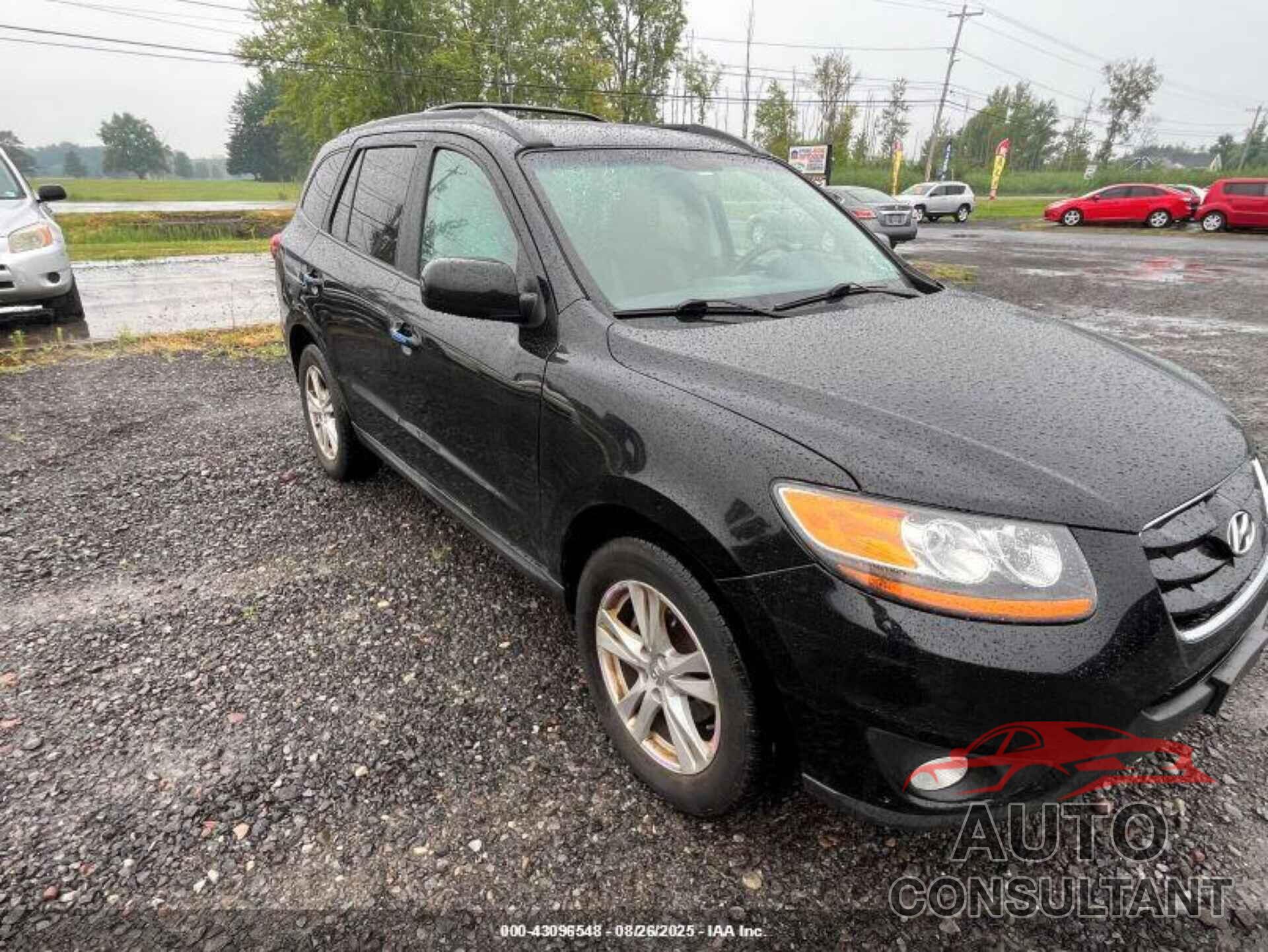 HYUNDAI SANTA FE 2010 - 5NMSH4AG3AH333735