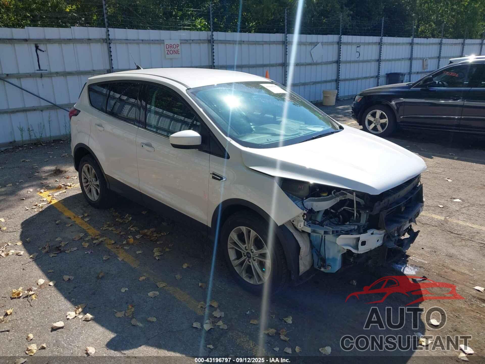 FORD ESCAPE 2019 - 1FMCU9GD4KUC56096
