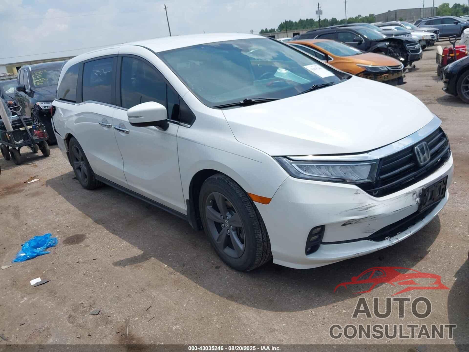 HONDA ODYSSEY 2021 - 5FNRL6H51MB022260